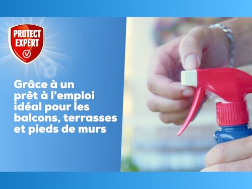 Detalle de PROTECT EXPERT Spray Anti-Fourmis prêt à l’emploi 1L