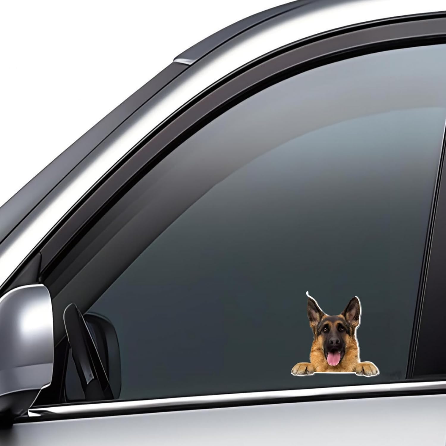Detalle 2 de Autoaufkleber Belgische Malinois – 15 cm, reflektierendes 3D-Tiermotiv, wasserdicht