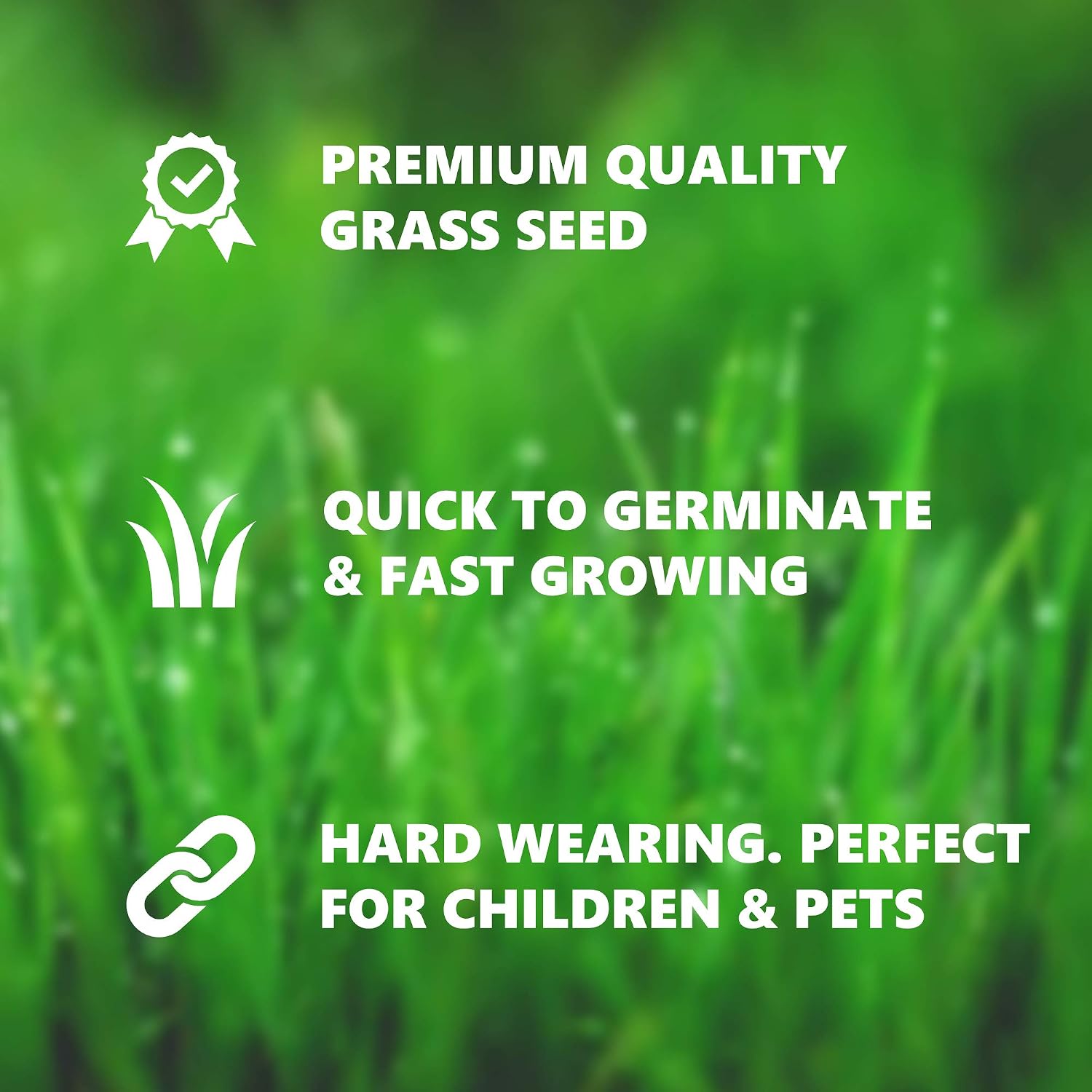 Thumbnail 2 de Grow Pure Grass Seed (1kg) — Quick Patch and New Lawn Solution, UK Climate