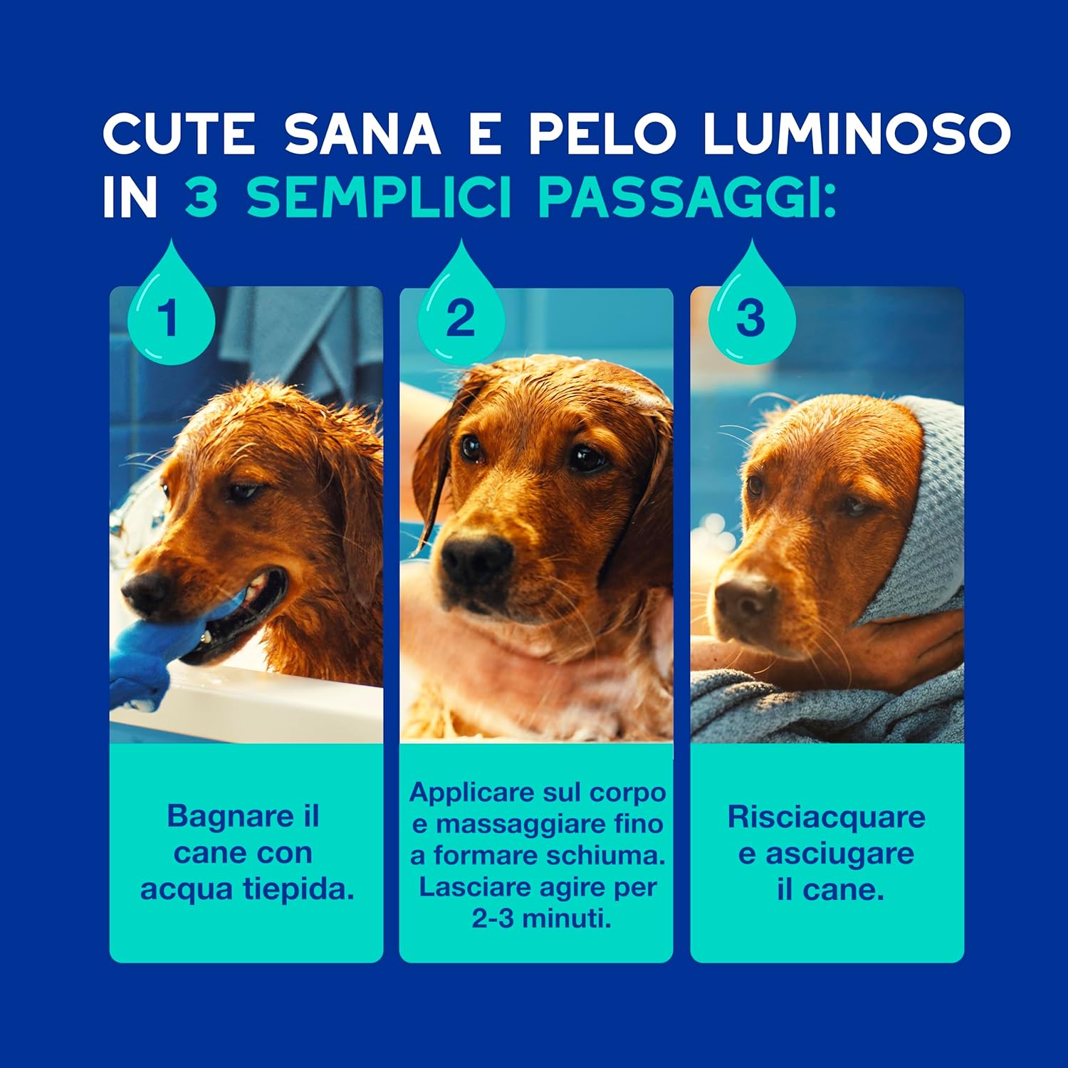 Thumbnail 5 de DOUXO SPA Shampoo Antiodore 250 ml