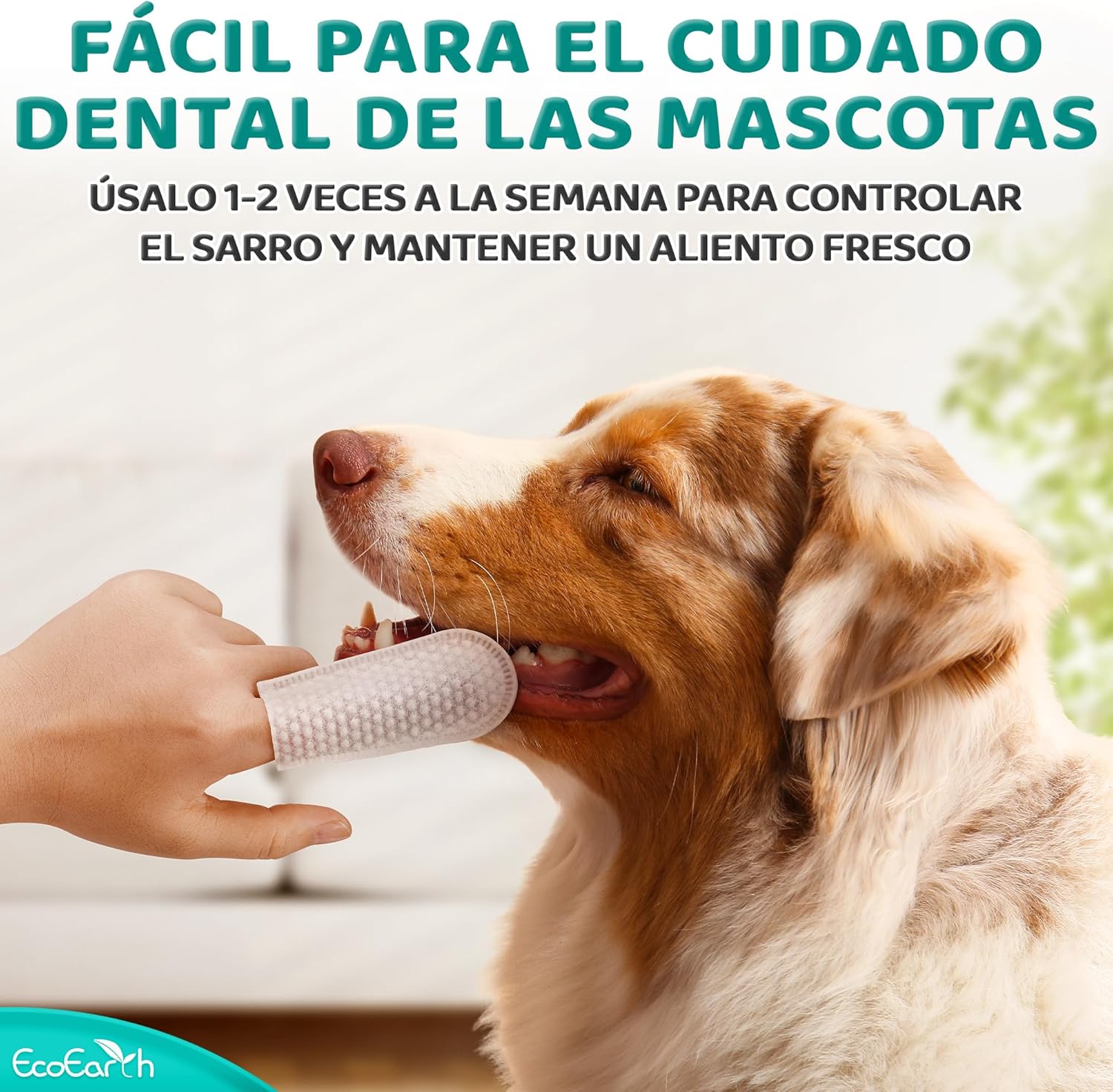 Thumbnail 3 de EcoEarth Toallitas dentales mascotas 100 uds