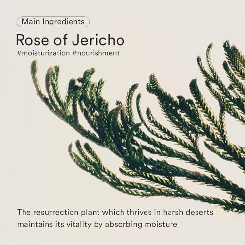 Thumbnail 2 de Abib Jericho Rose Bifida Serum Drop 1.69 fl oz