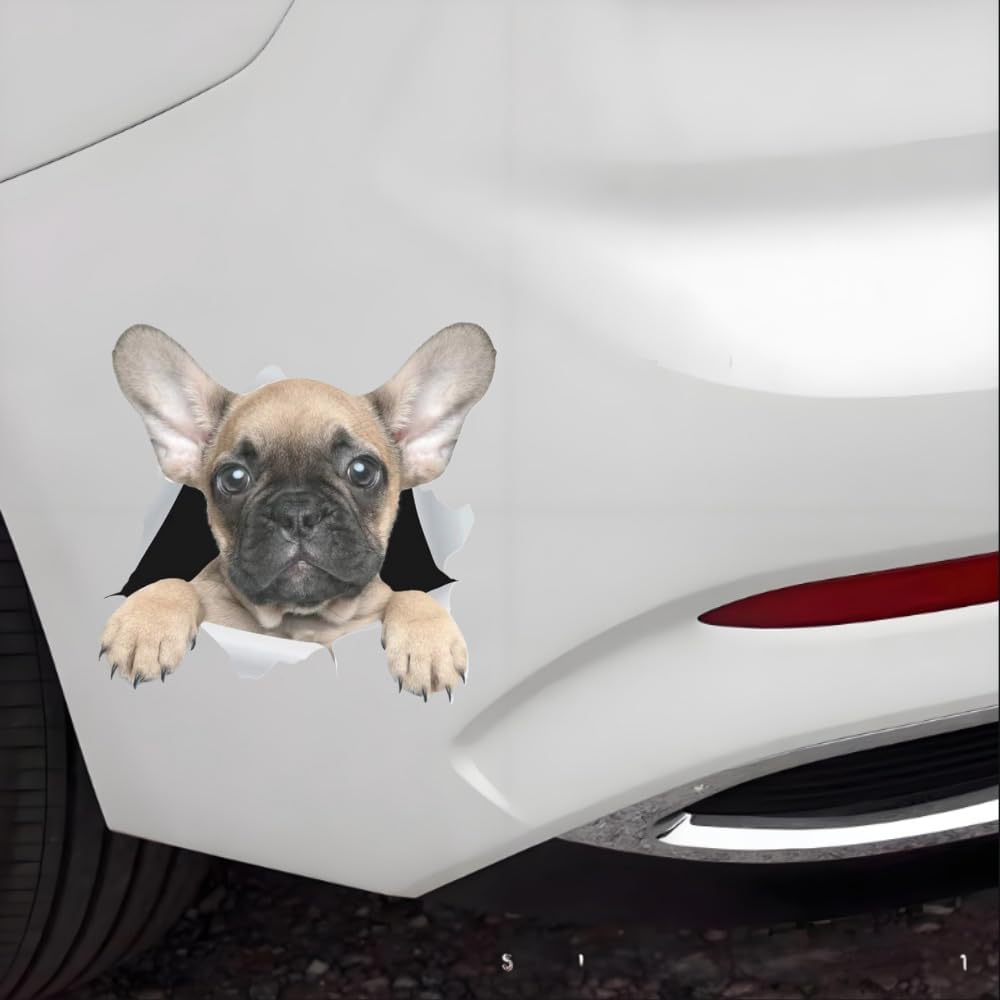 Thumbnail 4 de Französische Bulldogge Aufkleber 22 cm