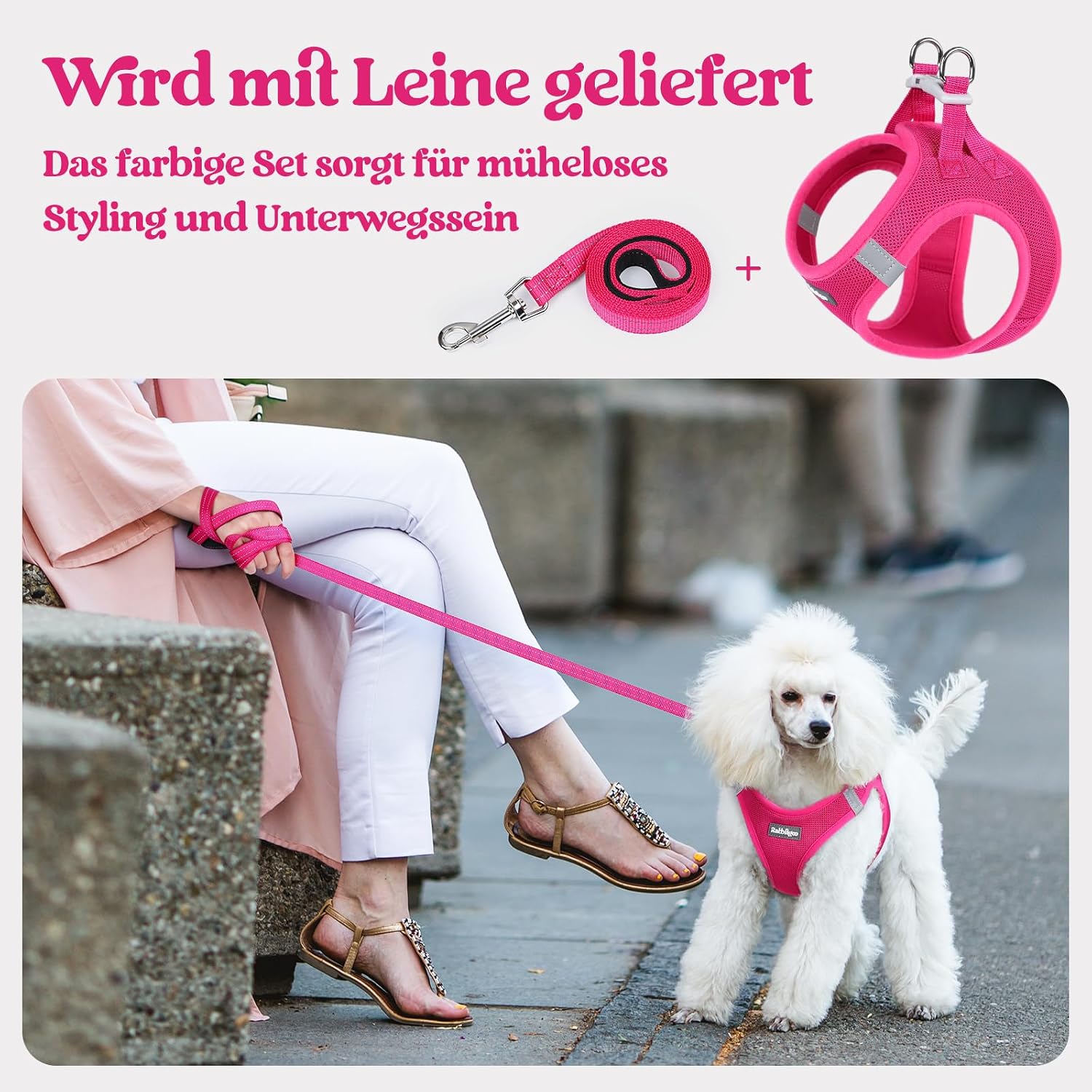 Thumbnail 5 de rabbitgoo Hundegeschirr M Rosarot für Kleine Hunde