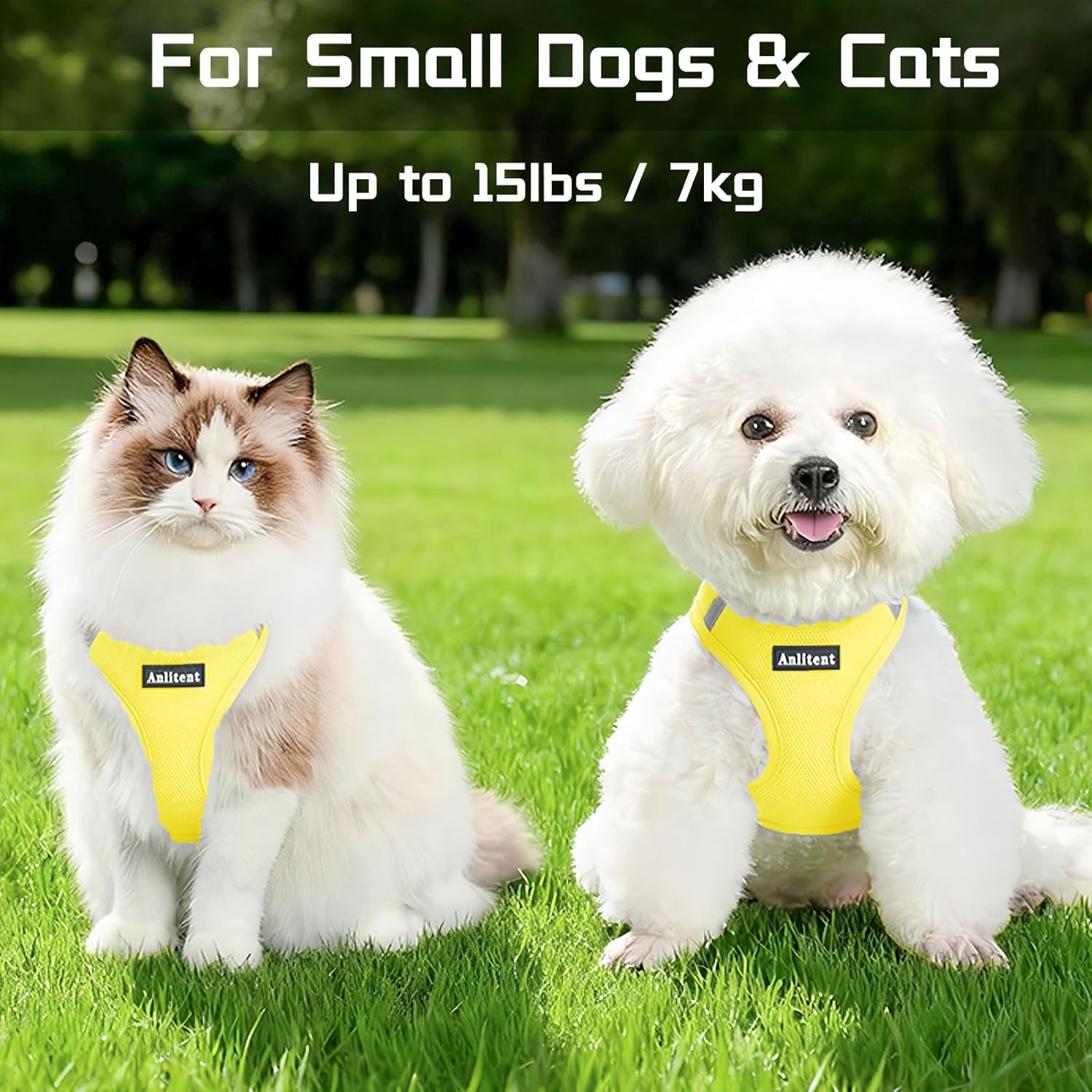 Thumbnail 6 de Anlitent Soft Mesh No Pull Cat/Puppy Harness and Lead Set (XS, Yellow) – Escape Proof for Small Dogs