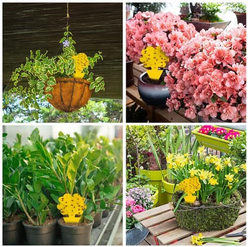Detalle de Cleanuper Yellow 100pcs 20260626 Sticky Traps, Double-Sided Yellow Plant Pest Cards