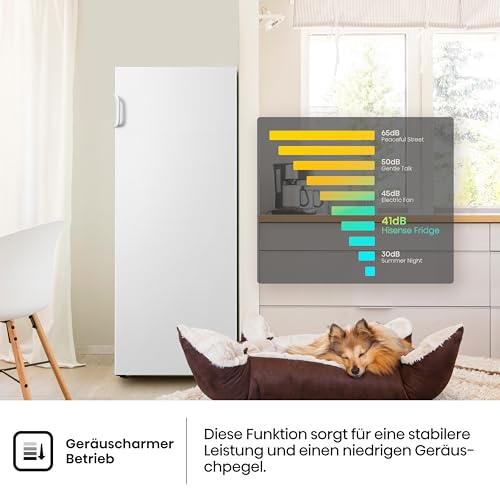 Detalle de Hisense FV191N4AW2 Gefrierschrank – TotalNoFrost, SuperFreeze und Multiflow 360° im Detail
