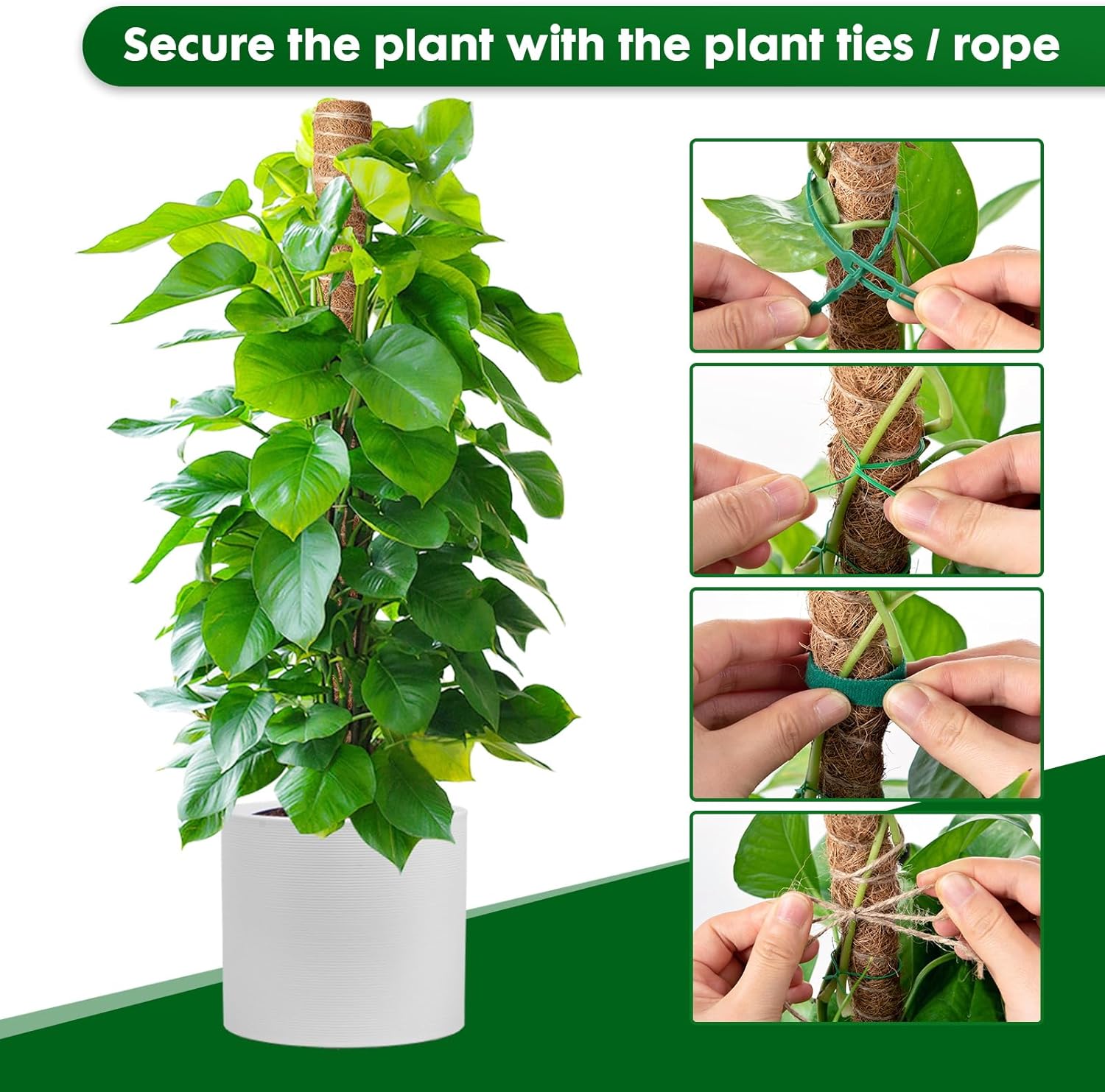 Thumbnail 4 de Mactoou Moss Pole 41cm