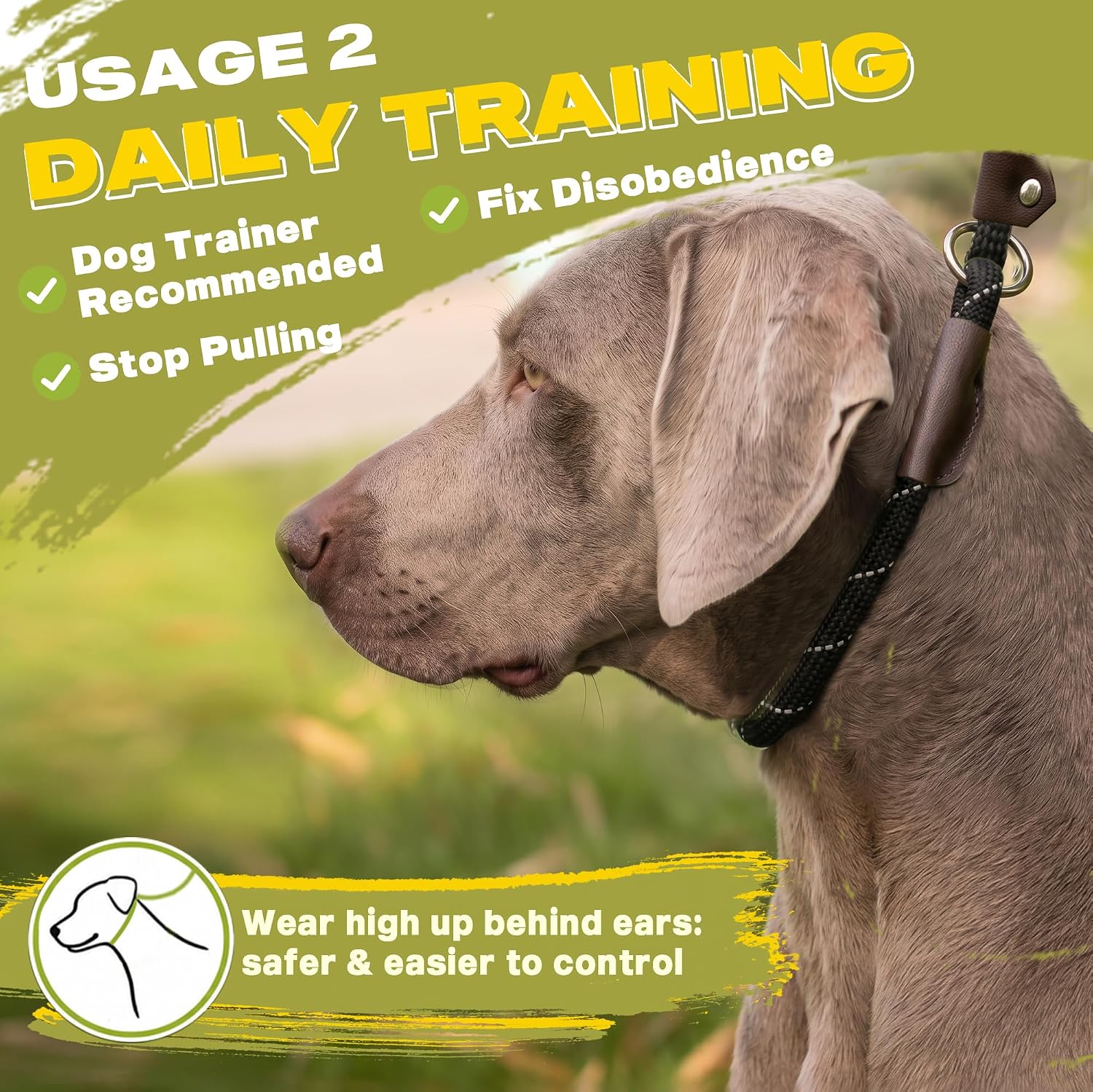 Detalle 1 de Fida Slip Lead Dog Leash, 6 ft