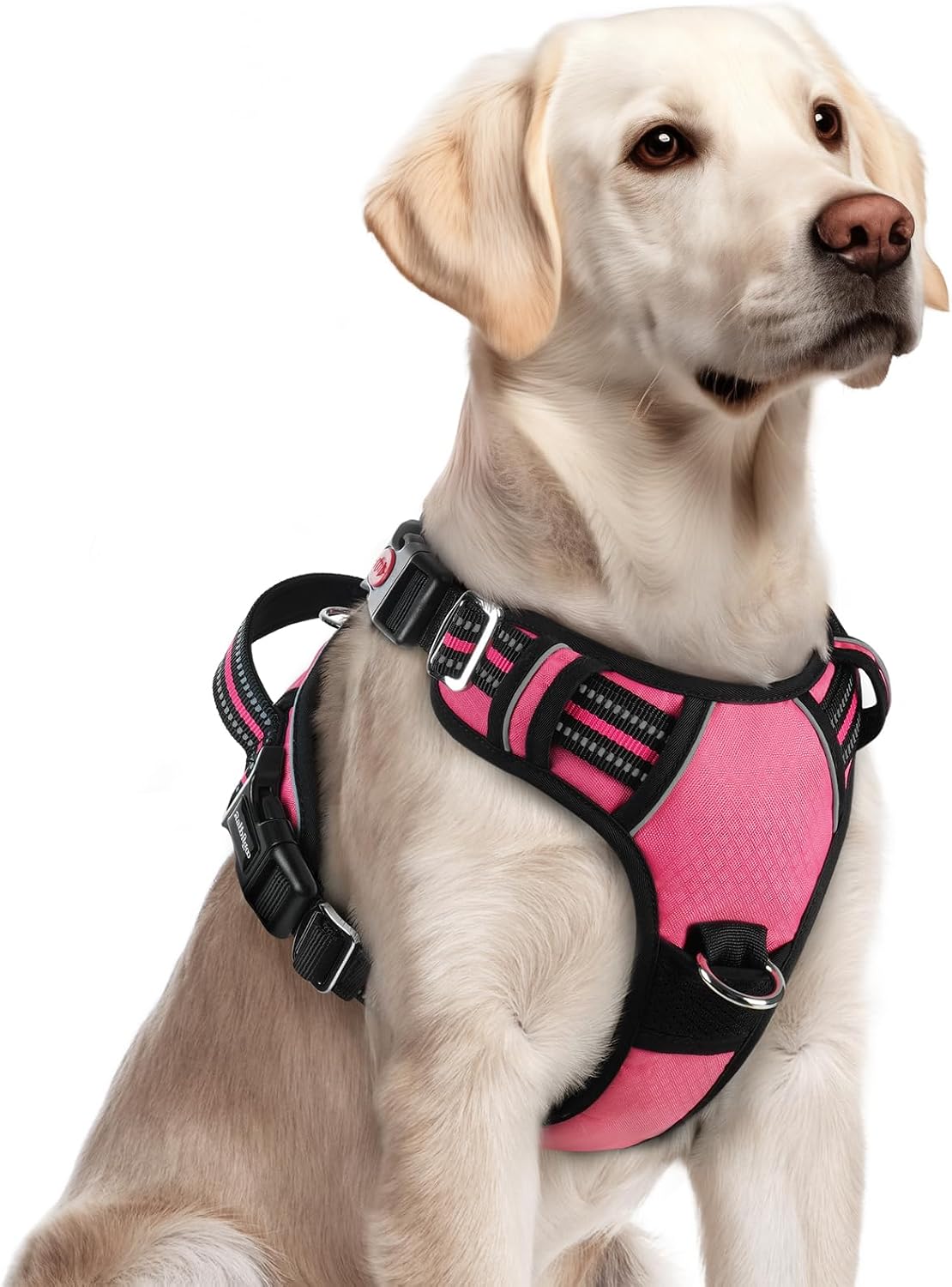Detalle de rabbitgoo Dog Harness, Large