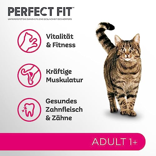 Detalle de PERFECT FIT Adult 1+ Trockenfutter für Katzen 7 kg Rind – Ausgewogene Ernährung für Haut, Fell und Verdauung
