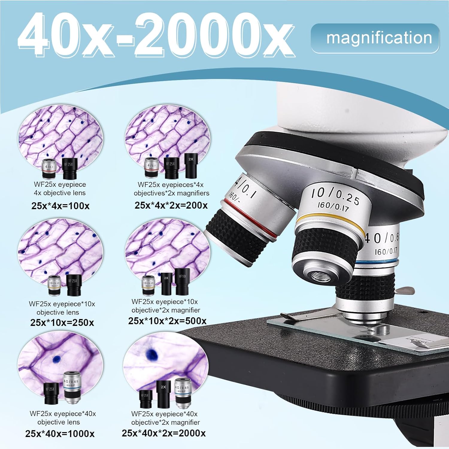Detalle 2 de Microscopes for Adults WF10x WF25x Compound Microscope