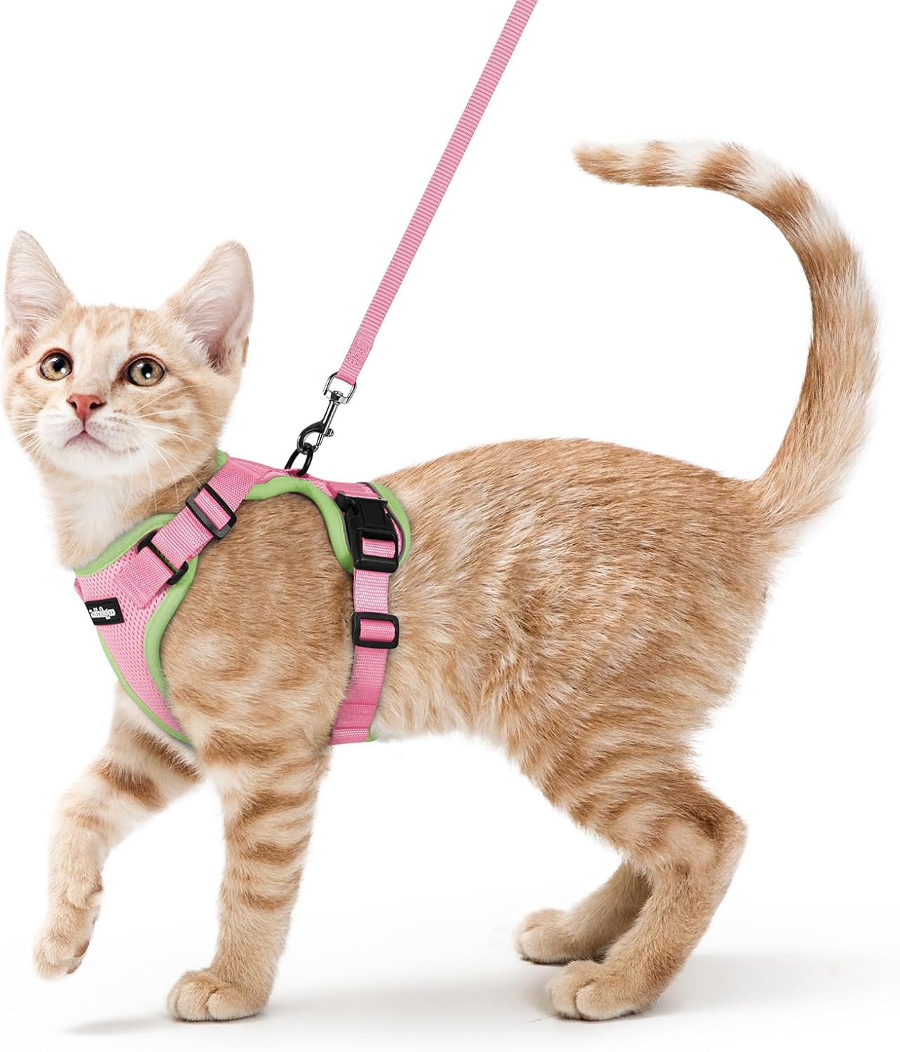 Detalle de rabbitgoo Cat Harness Set, Size S