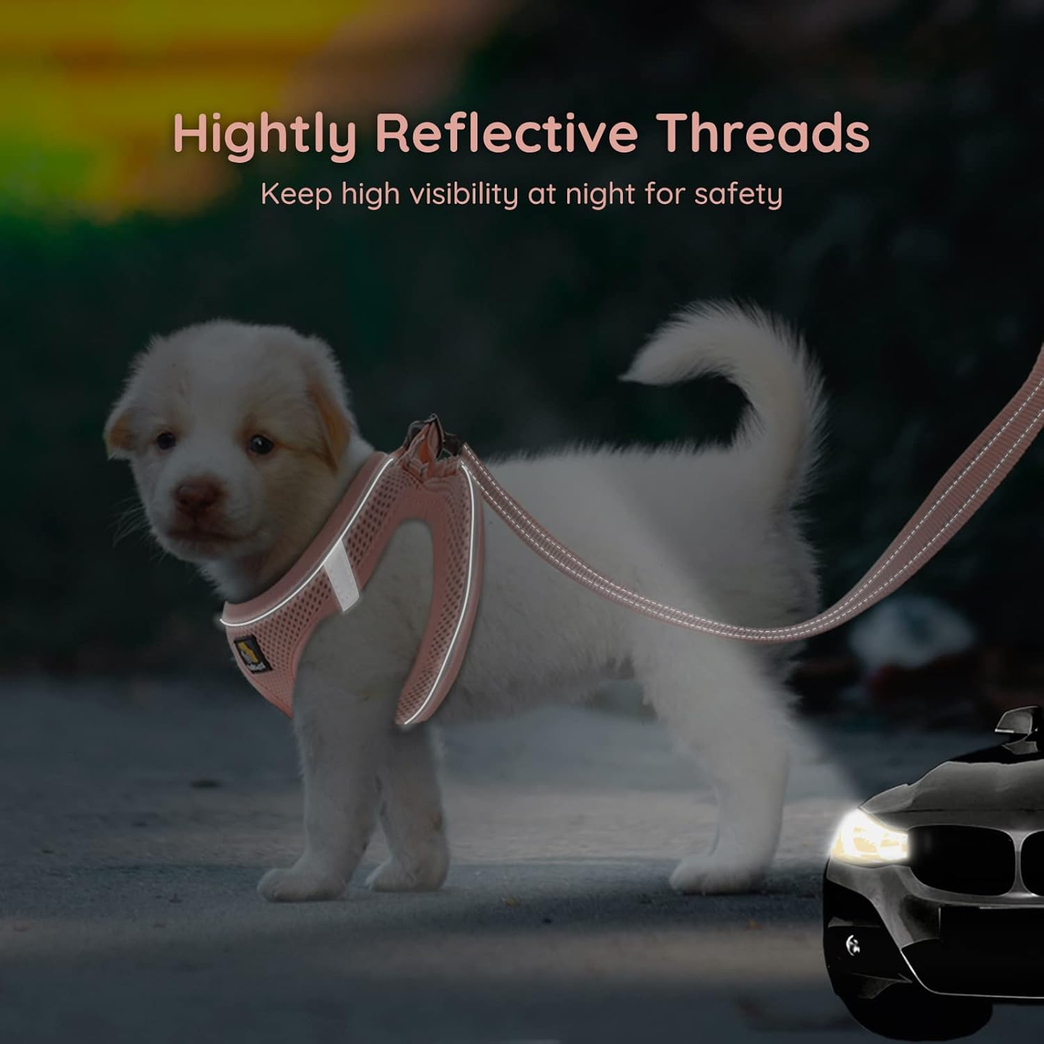 Thumbnail 4 de BELLA & PAL Hundegeschirr XS (rosa) – Step-in Air-Mesh mit reflektierenden Streifen