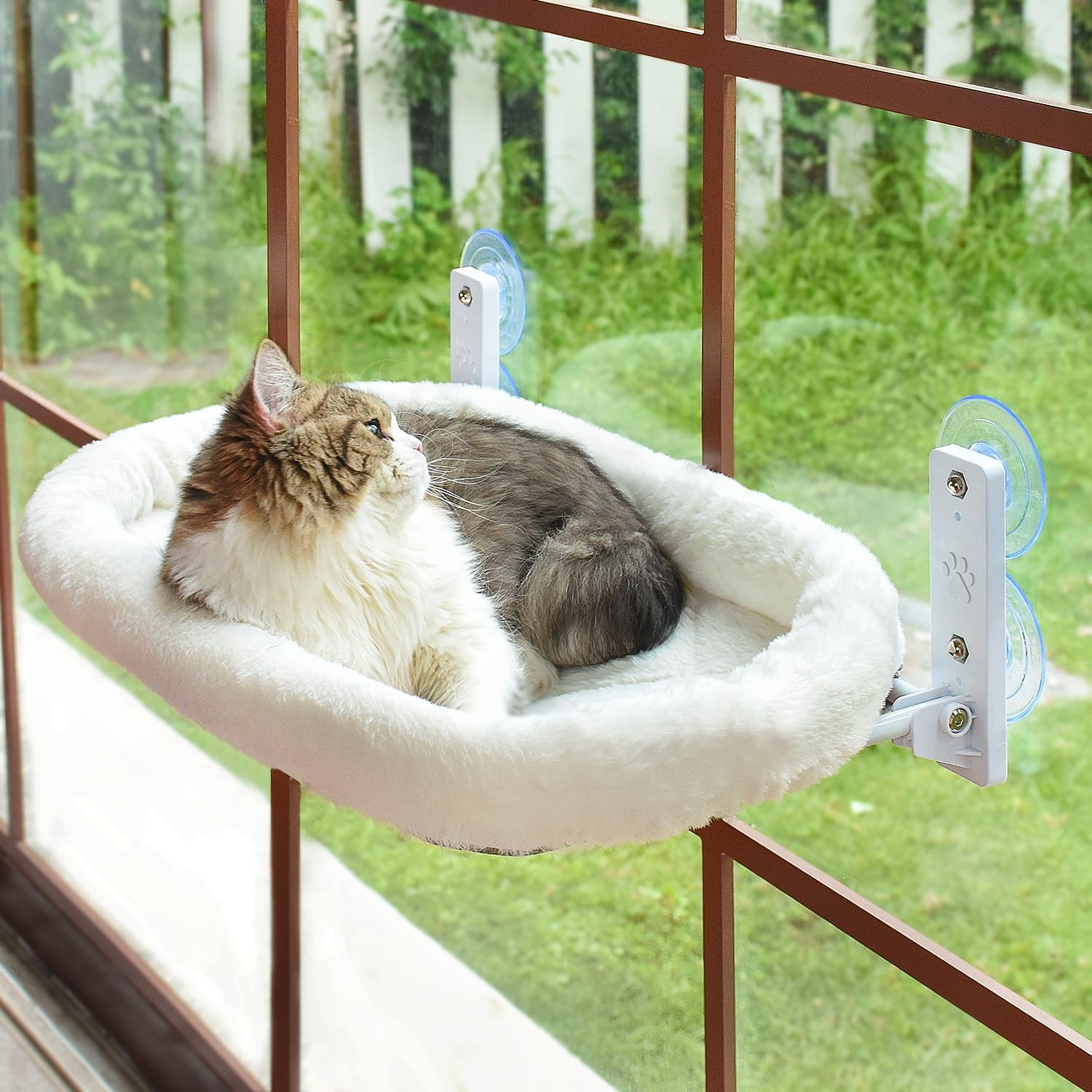 AMOSIJOY Cordless Cat Window Perch: 360° Window Hammock with Stainless Steel Frame