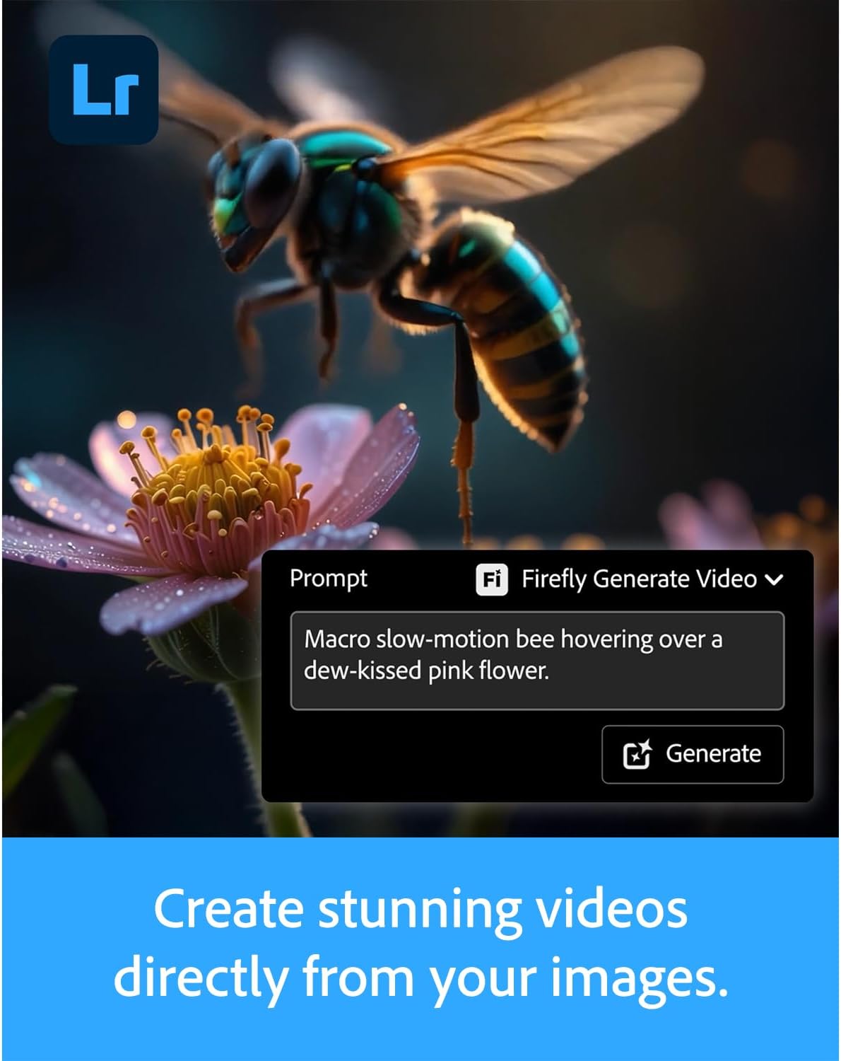 Thumbnail 2 de Adobe Creative Cloud 1TB Photosho&Lightroom for PC/Mac