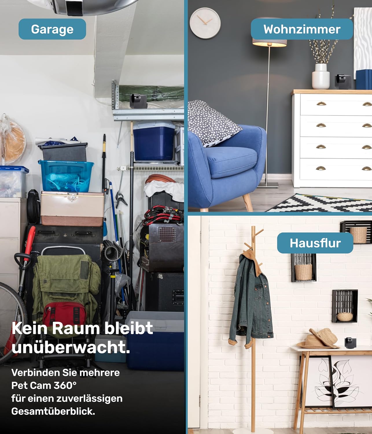 Detalle 2 de PetTec Cam 360° 2er Set – Haustierkamera mit App, 360°-Schwenk, Nachtsicht und Zwei-Wege-Audio