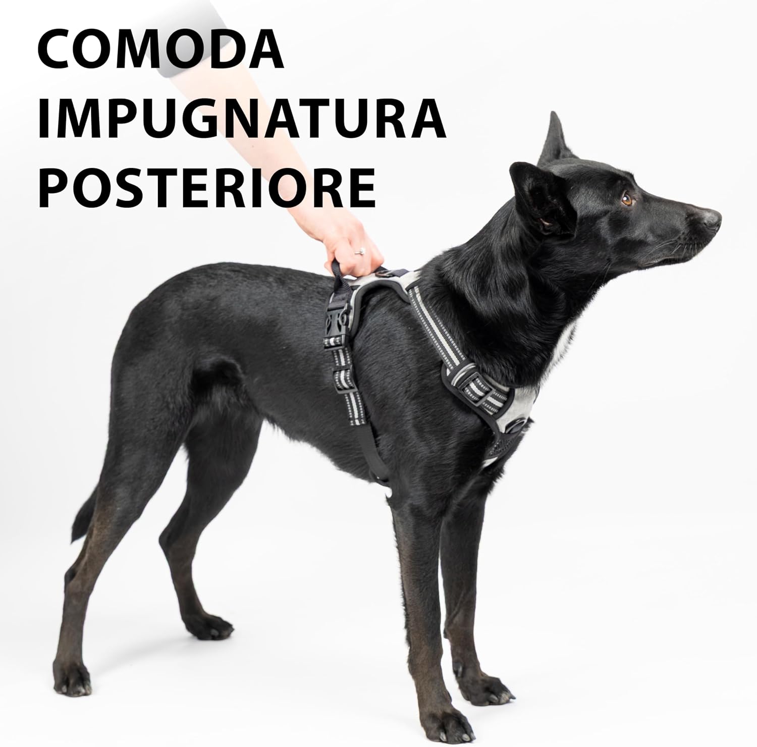 Thumbnail 3 de Ferplast Pettorina Cane Taglia L anti‑tiro regolabile, riflettente
