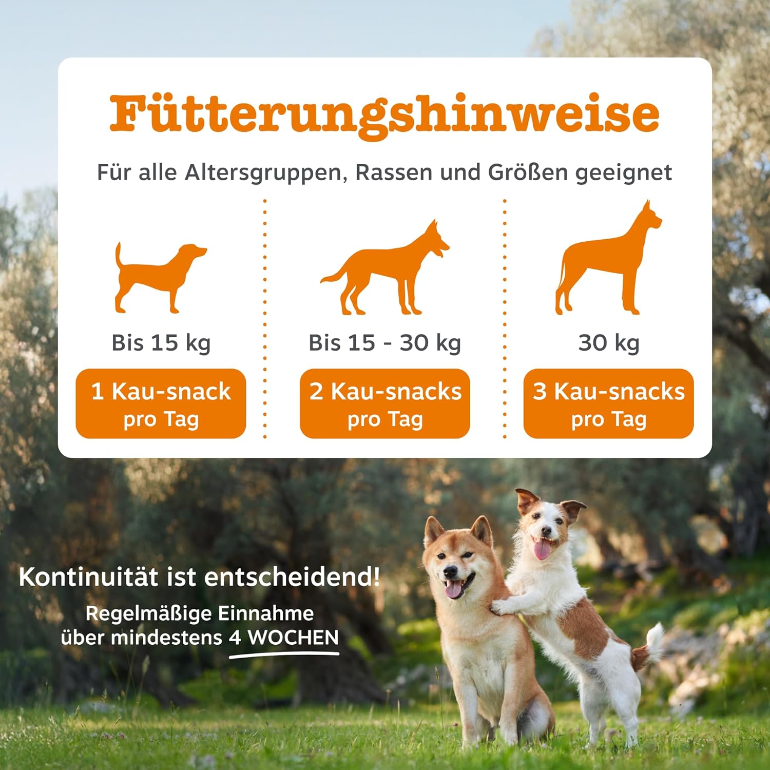 Detalle de Zesty Paws Allergie & Immunität Chews – Nahrungsergänzung für Hunde (90 STK)
