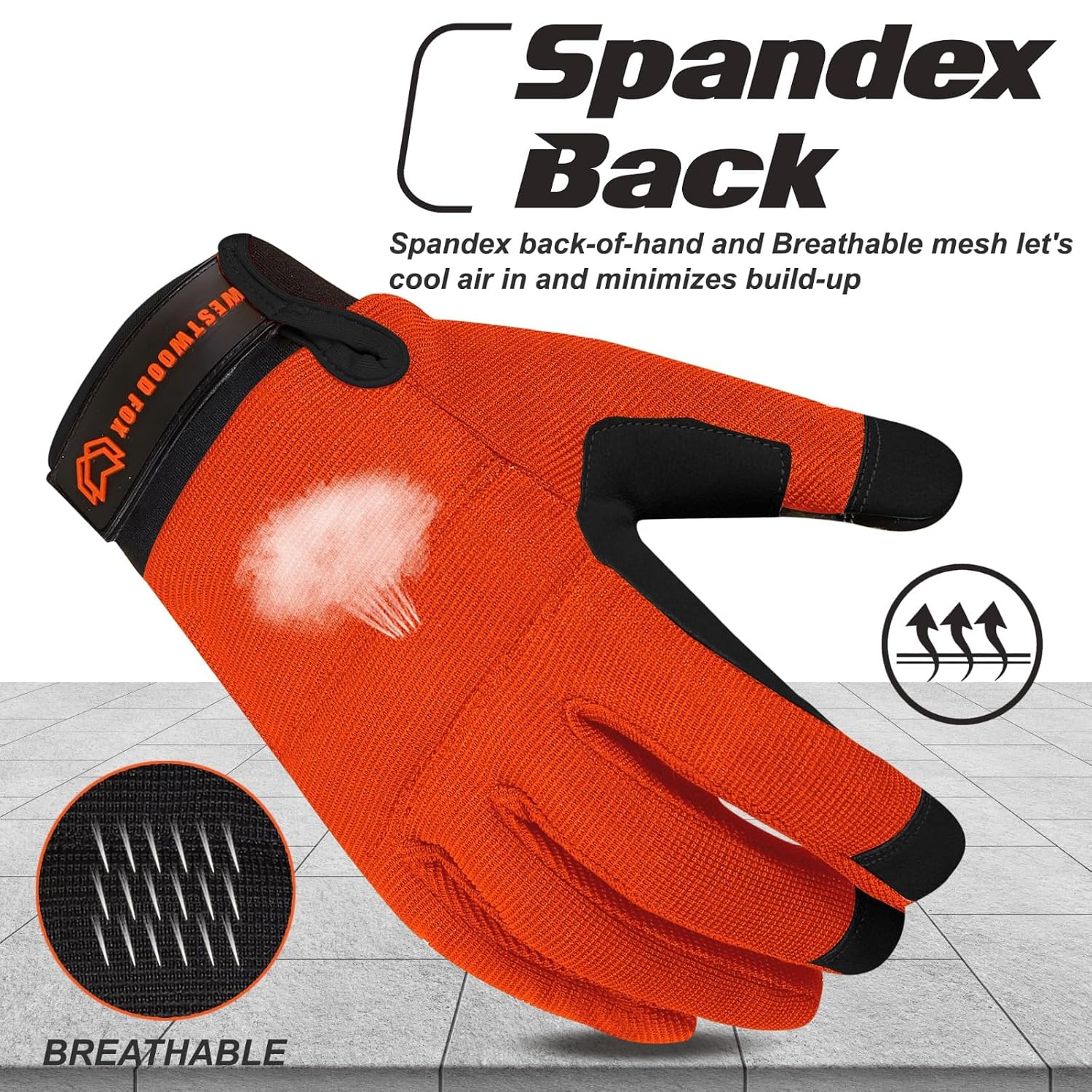 Thumbnail 6 de WESTWOOD Fox Gants de travail jardinage S
