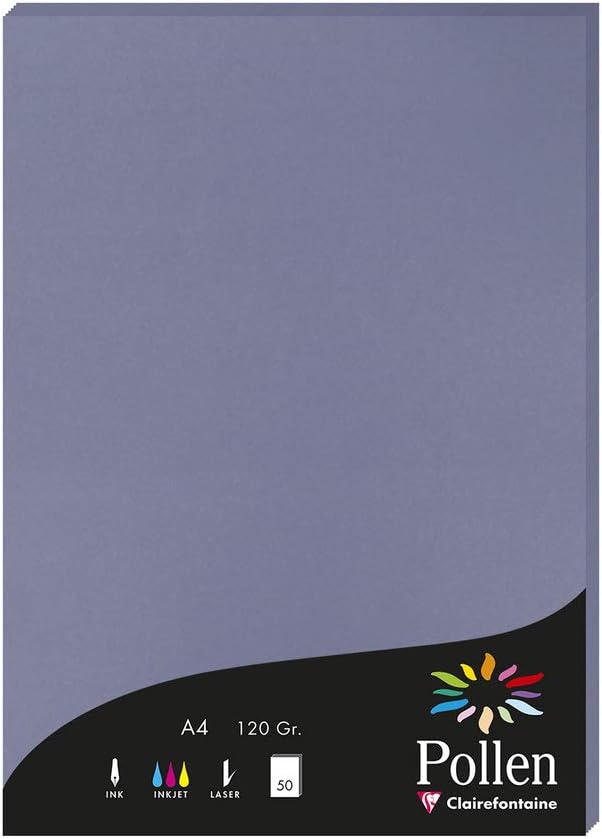 Detalle de Clairefontaine 4199C Silver Iridescent Pollen Paper Wallet (A4, 50 sheets)