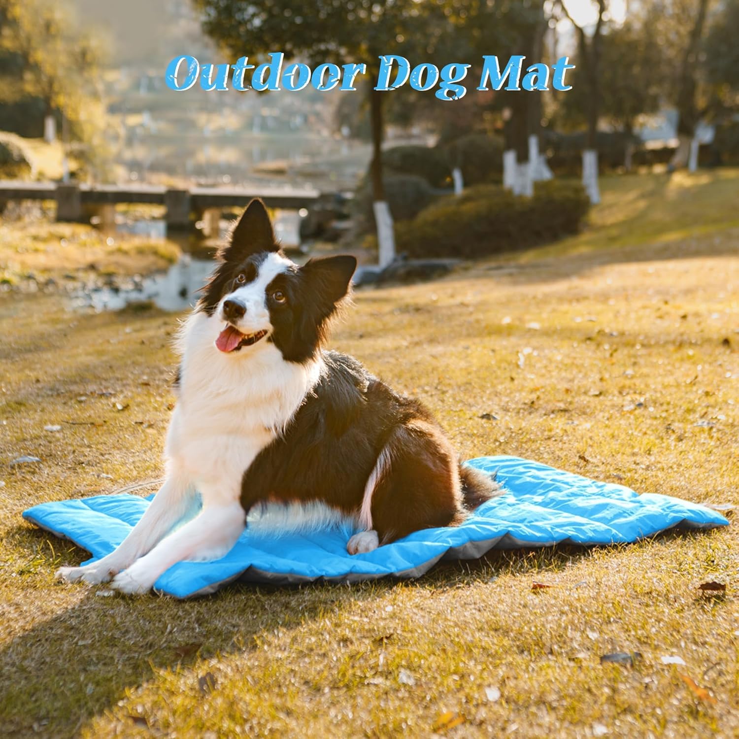 Thumbnail 3 de UNIKOME cuccia cane grande 110x68