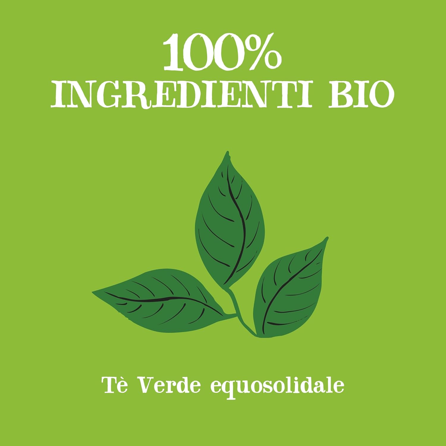 Thumbnail 2 de CUPPER Tè Verde Bio – 250 Bustine Biologico e Fairtrade, Filtri Biodegradabili