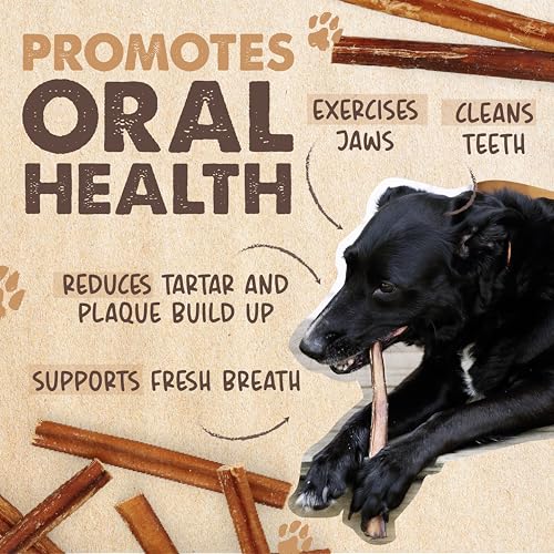 Thumbnail 6 de Mighty Paw 12" Bully Sticks for Dogs - Large, Medium and Small Breeds Chew