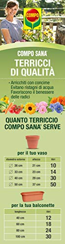 Detalle 2 de COMPO SANA Terriccio Universale 80 l per piante d'appartamento, balcone e giardino