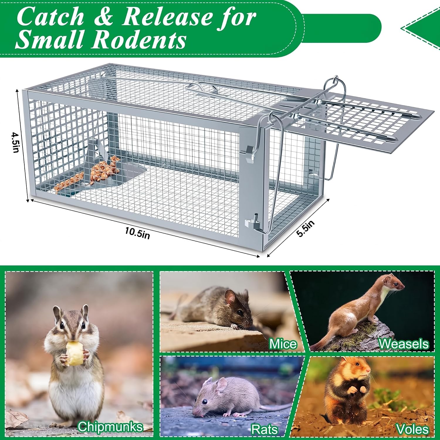 Detalle 2 de Wanqueen 01 Live-Catch Rodent Trap, 2-Pack, Galvanized Steel