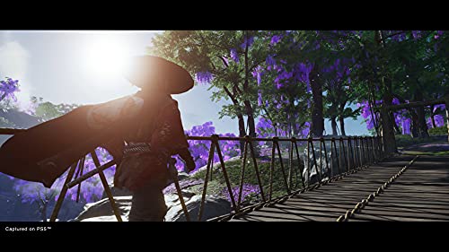 Thumbnail 16 de Ghost of Tsushima Director's Cut PS5 | Aventura Épica en 4 Idiomas