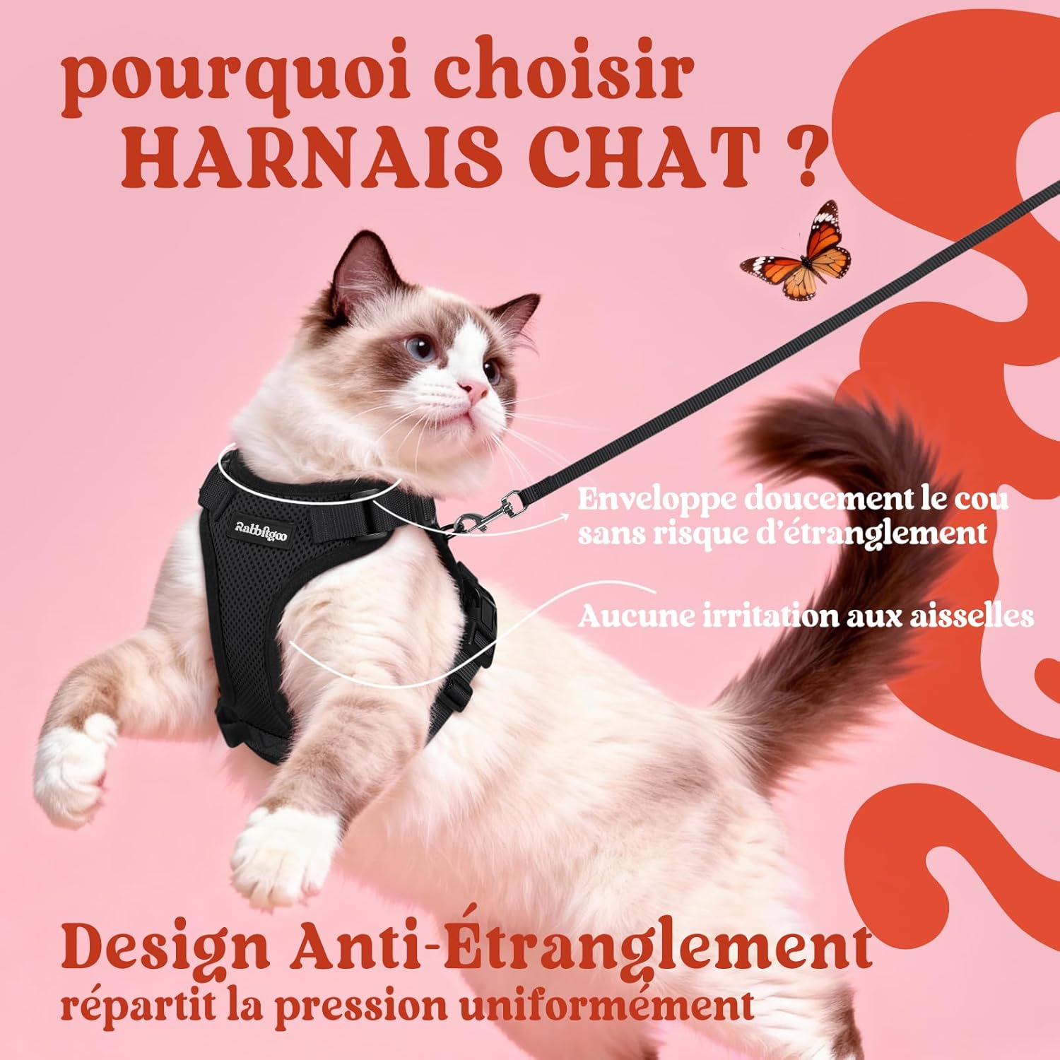 Thumbnail 2 de rabbitgoo Harnais Chat S Laisse Noir