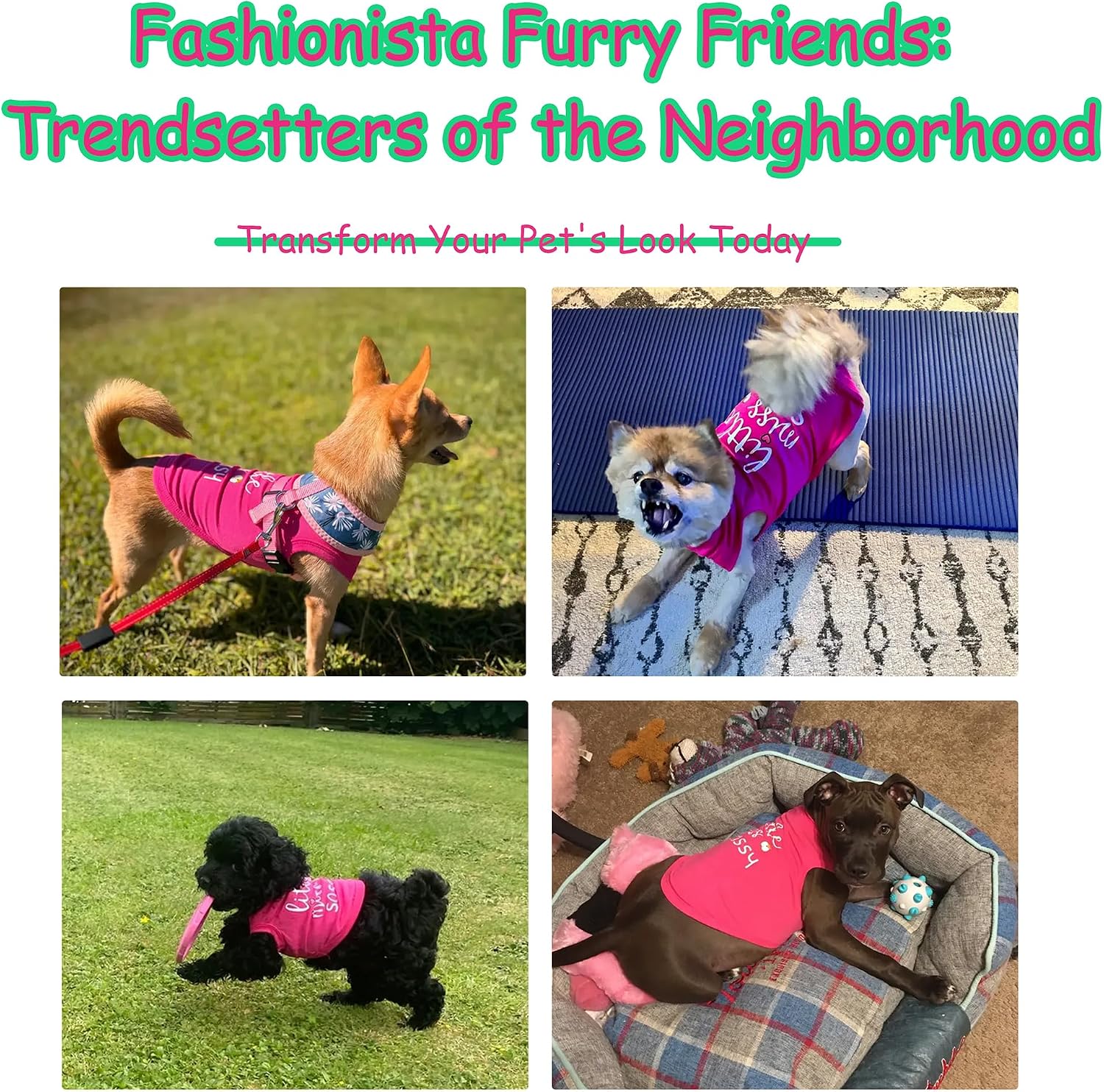 Detalle de Paiaite Dog Shirt XXL