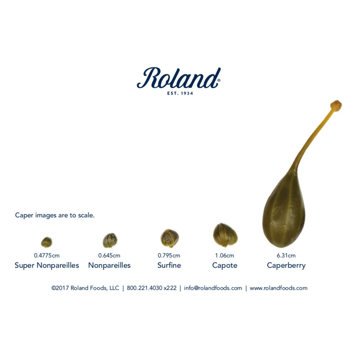 Detalle 1 de Roland Foods 70002 Nonpareille Capers in Sherry Vinegar, 3.75 oz
