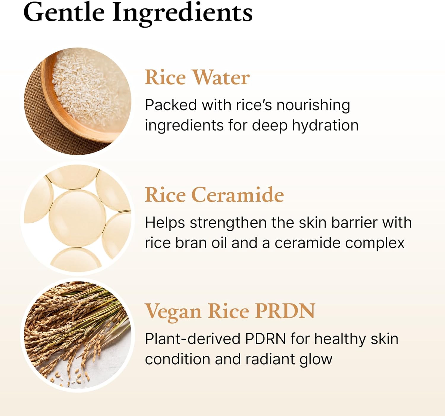 Thumbnail 6 de FULLY Rice Ceramide Essence Toner (Milky) – fragrance-free hydrating toner for glass skin, 250ml
