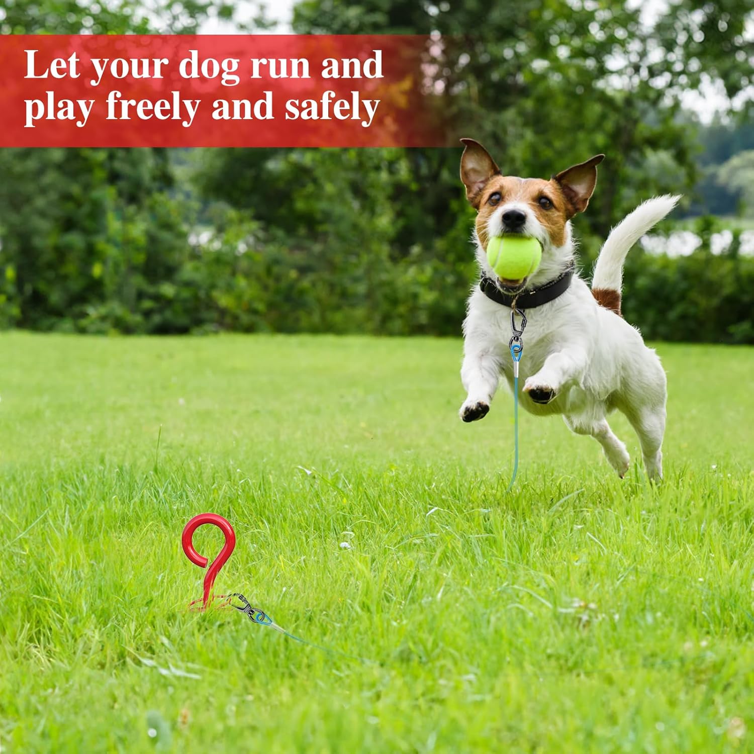 Thumbnail 6 de Chuiendi Dog Tie Out Stake – 40cm heavy duty 360° swivel ground anchor for yards, beach & camping