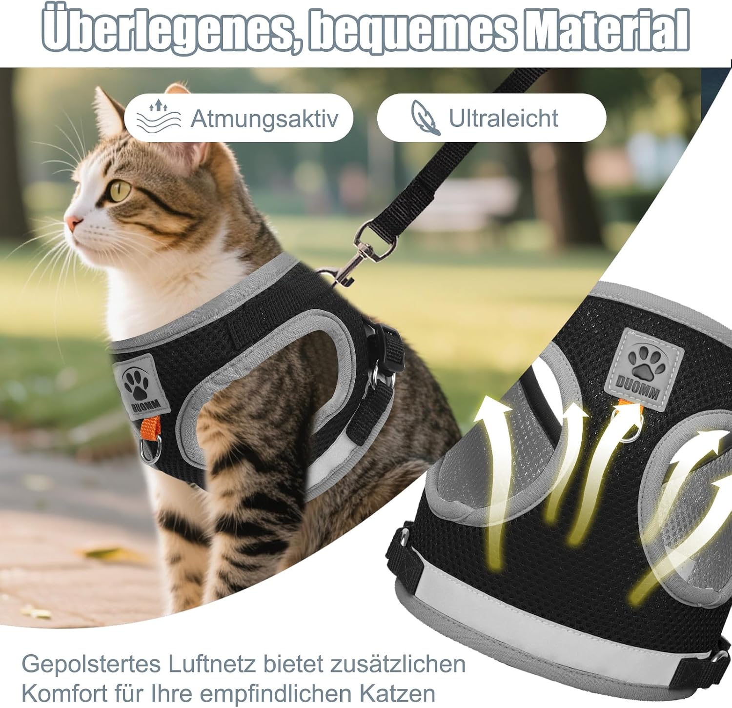 Thumbnail 2 de Bindokun Katzengeschirr S mit Leine 5 m 🐾