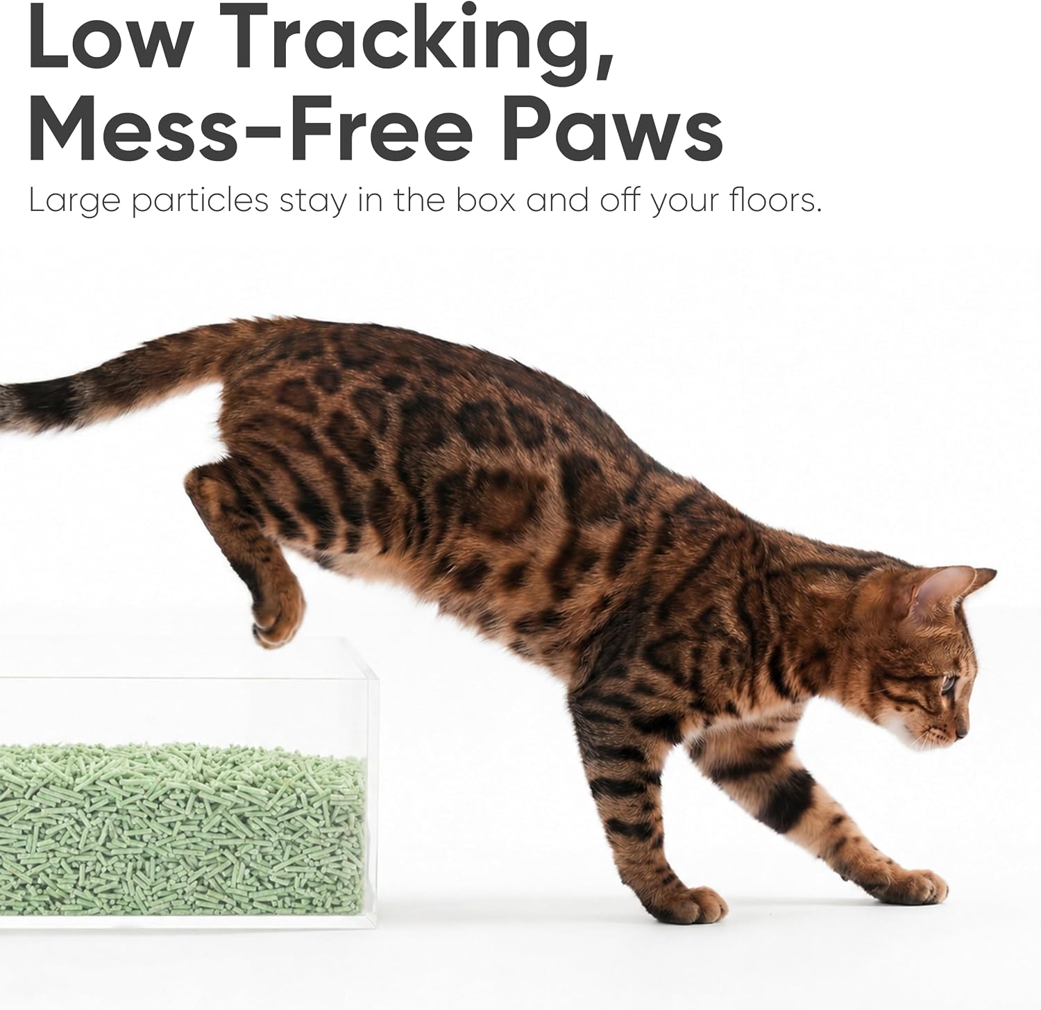 Detalle 2 de FUKUMARU Tofu Cat Litter (Clumping, Green Tea Odour Control) – Flushable, Dust-Free, 2.7kg x 2 bags
