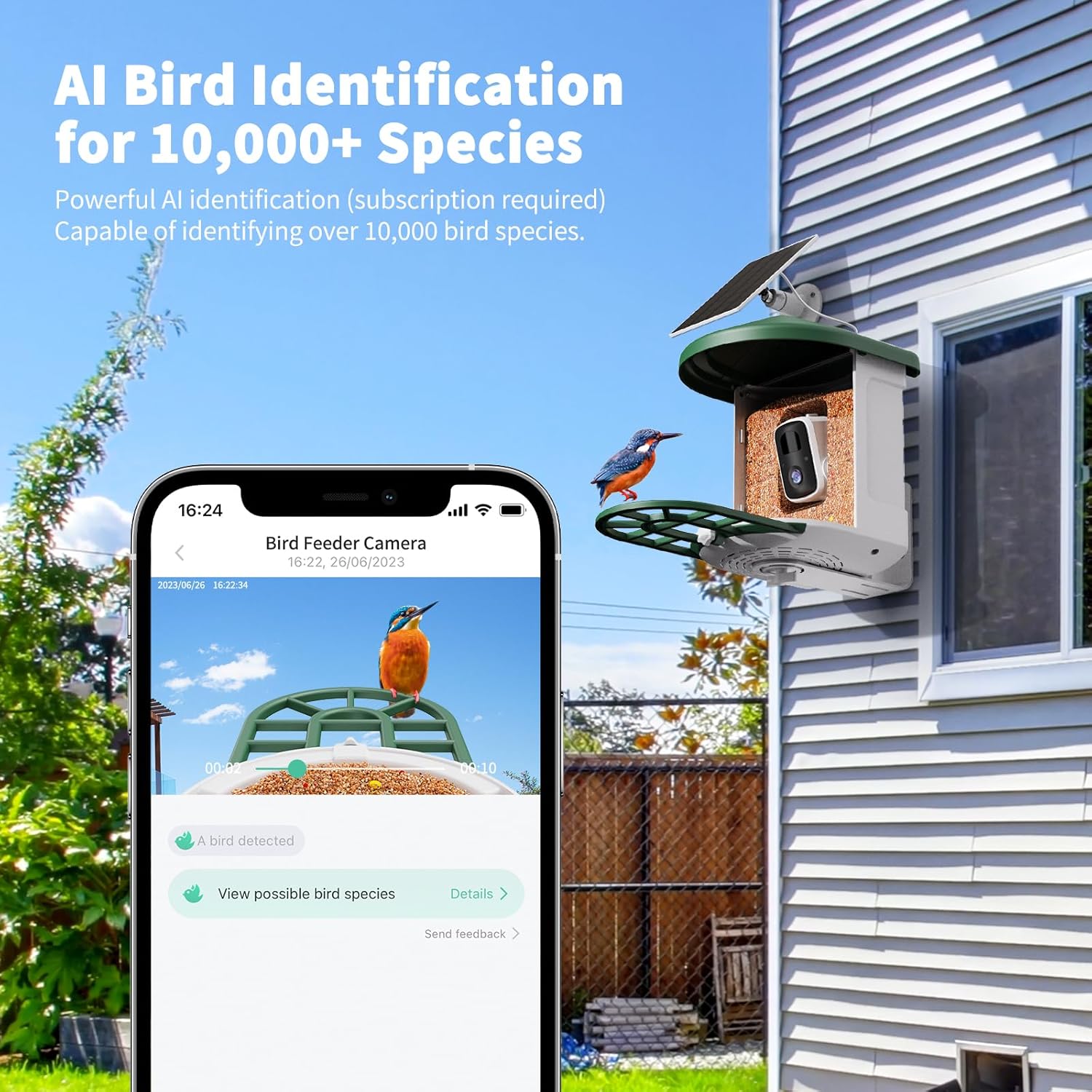 Detalle 2 de HARYMOR Smart Bird Feeder Camera, 2L