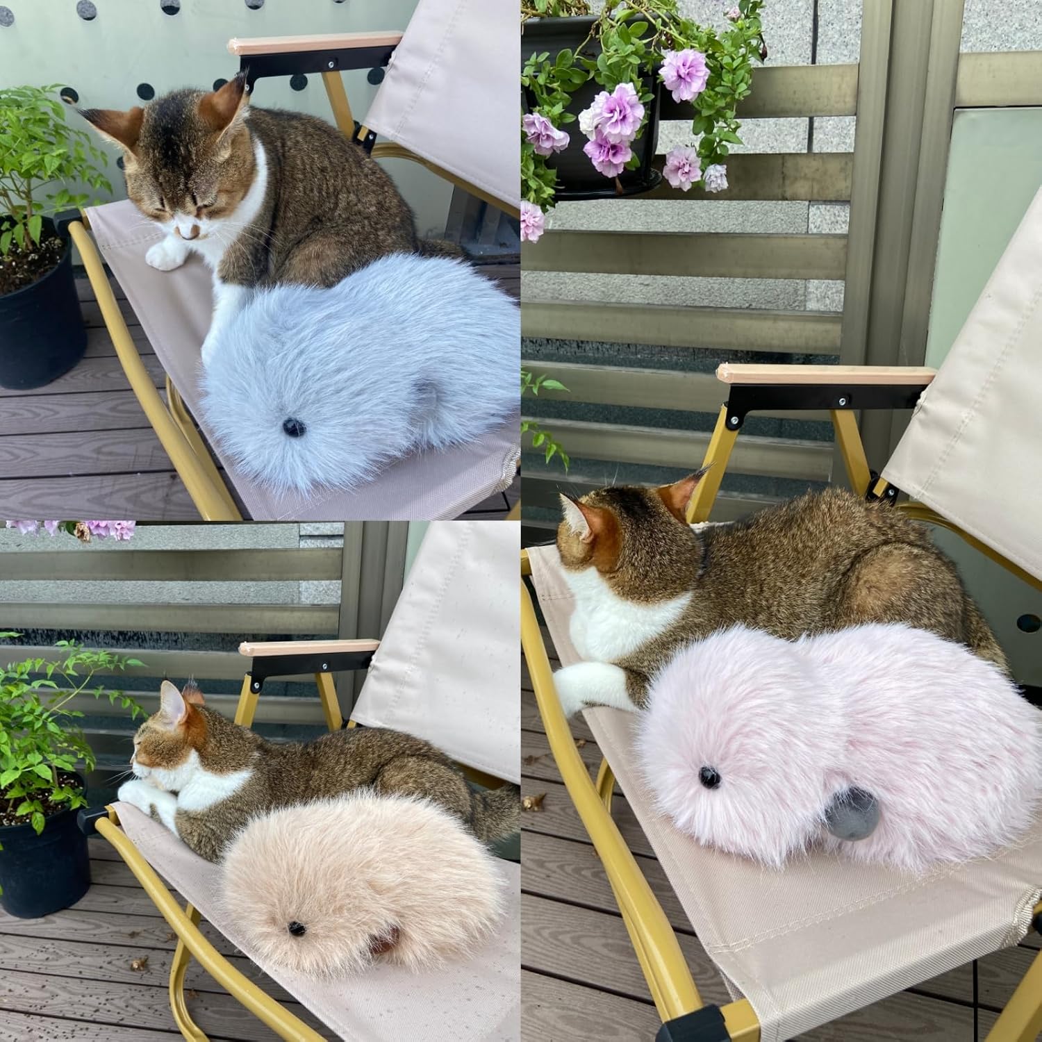 Thumbnail 4 de Cupboo Interactive AI Plush Companion Pet – Privacy Safe Soft Huggable Intelligence for All Ages
