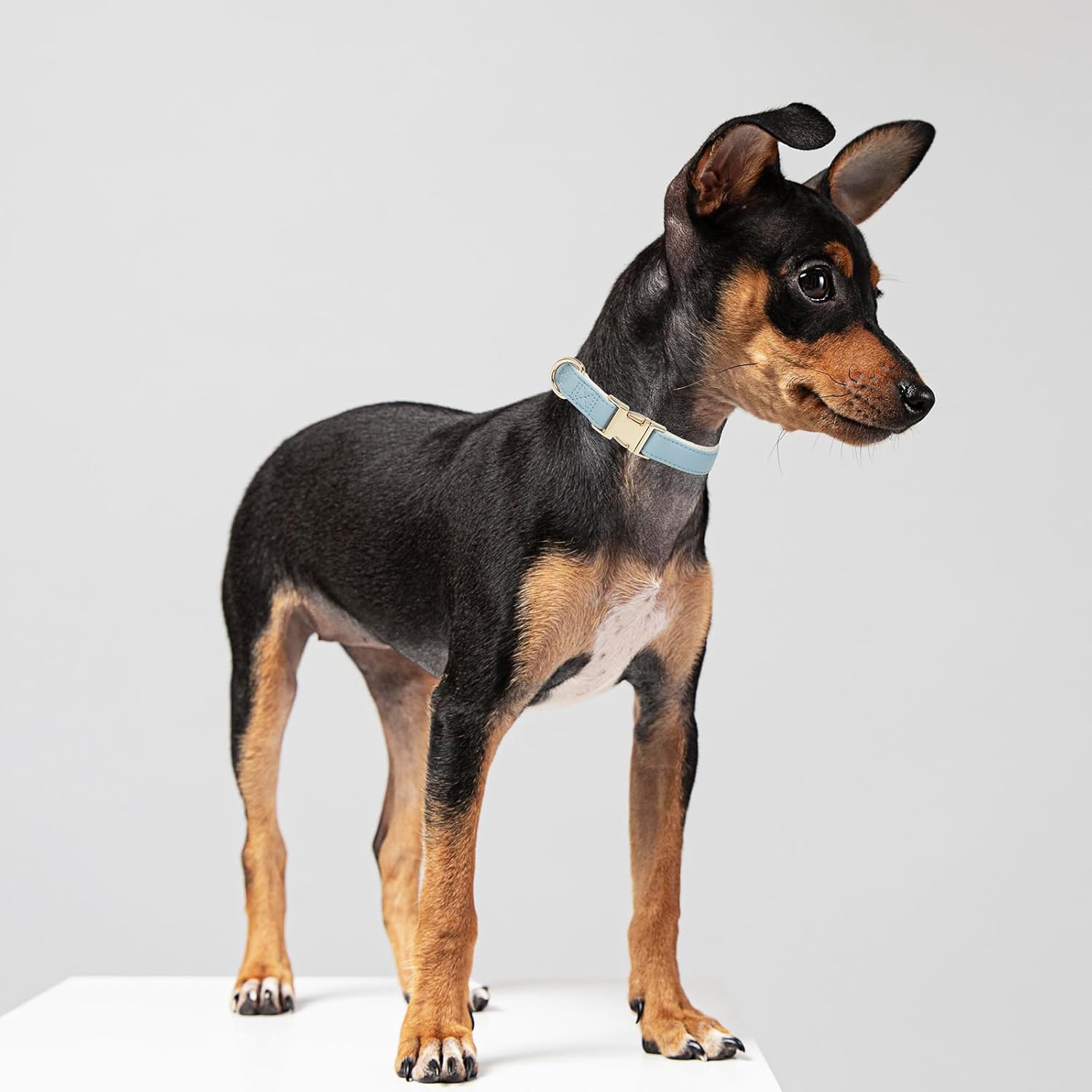 Thumbnail 1 de YUDOTE Soft Leather Dog Collar with Safety Quick Release (Natural Cotton Padded) – Light Blue, XS