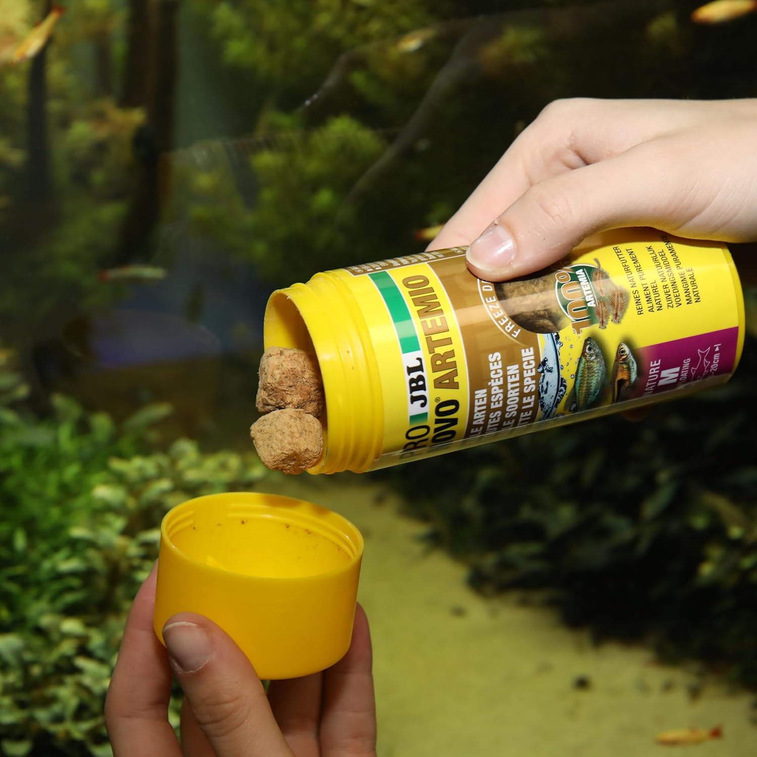 Detalle 2 de JBL PRONOVO ARTEMIO Artemia-Leckerbissen – Gefriergetrocknete Salinenkrebse für Zierfische 8–20 cm, 250 ml