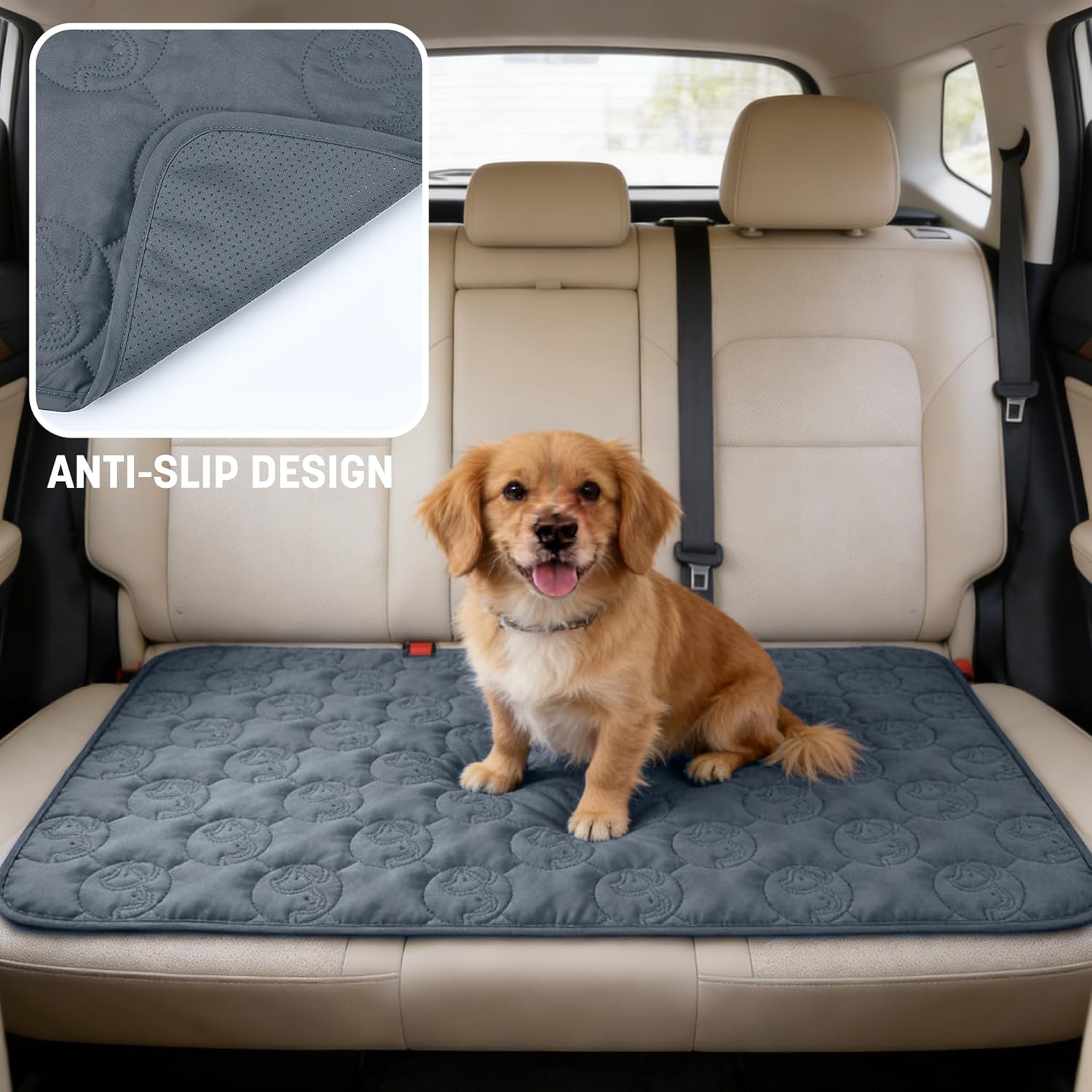 Thumbnail 3 de Pawsee coperta impermeabile per cani 150 x 120 cm: copridivano lavabile antiscivolo