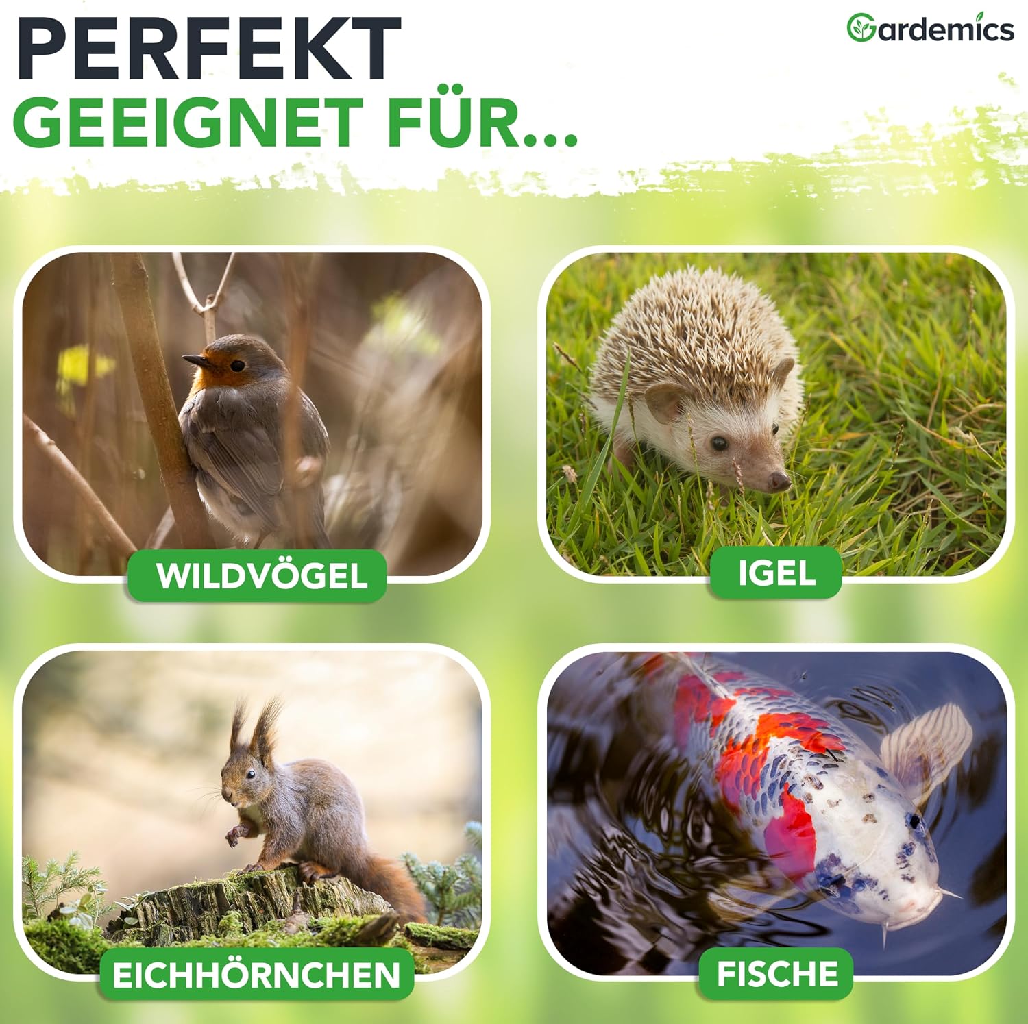 Detalle 2 de Gardemics Mehlwürmer getrocknet 5 Liter – 800 g Premium Insektenfutter für Vögel, Fische, Schildkröten und mehr
