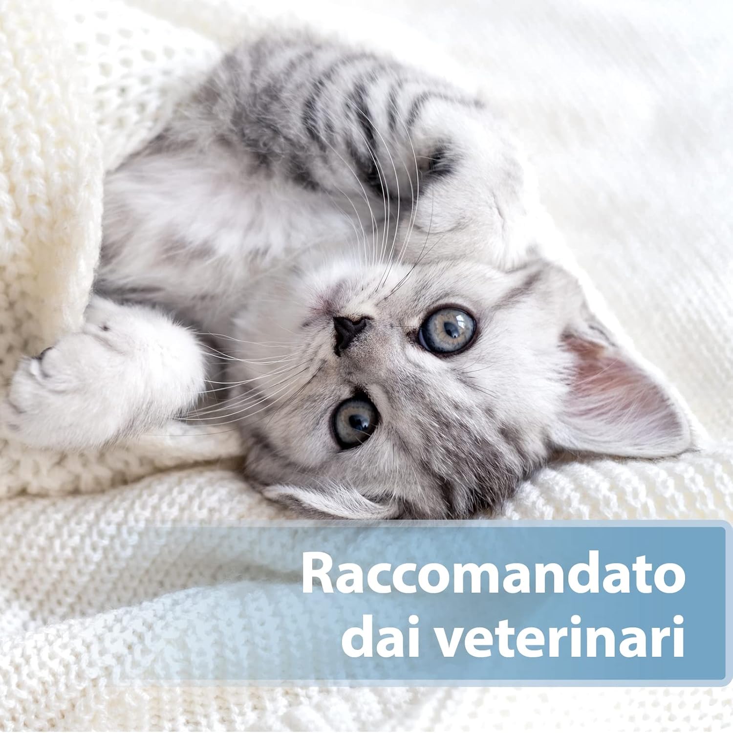 Detalle de Felisept Salviette Da Dito per la Cura delle Orecchie per Gatti – 50 Pezzo