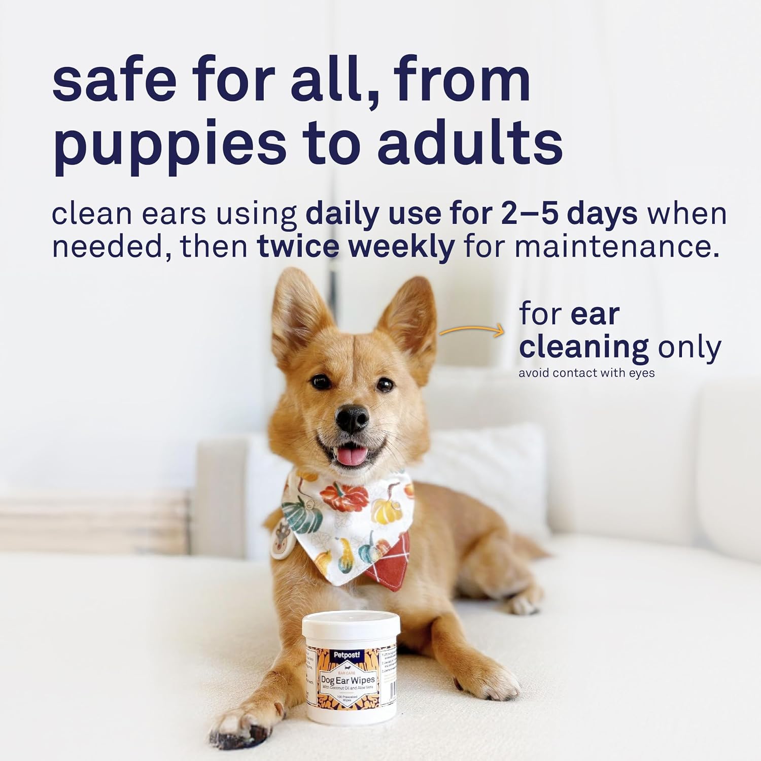Detalle 1 de Petpost 猫・犬用耳クリーニングシート 100枚入り、ココナッツオイル・アロエエキス配合