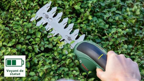 Detalle 2 de Bosch EasyShear : cisaille de jardin 2 en 1 pour petites et moyennes surfaces