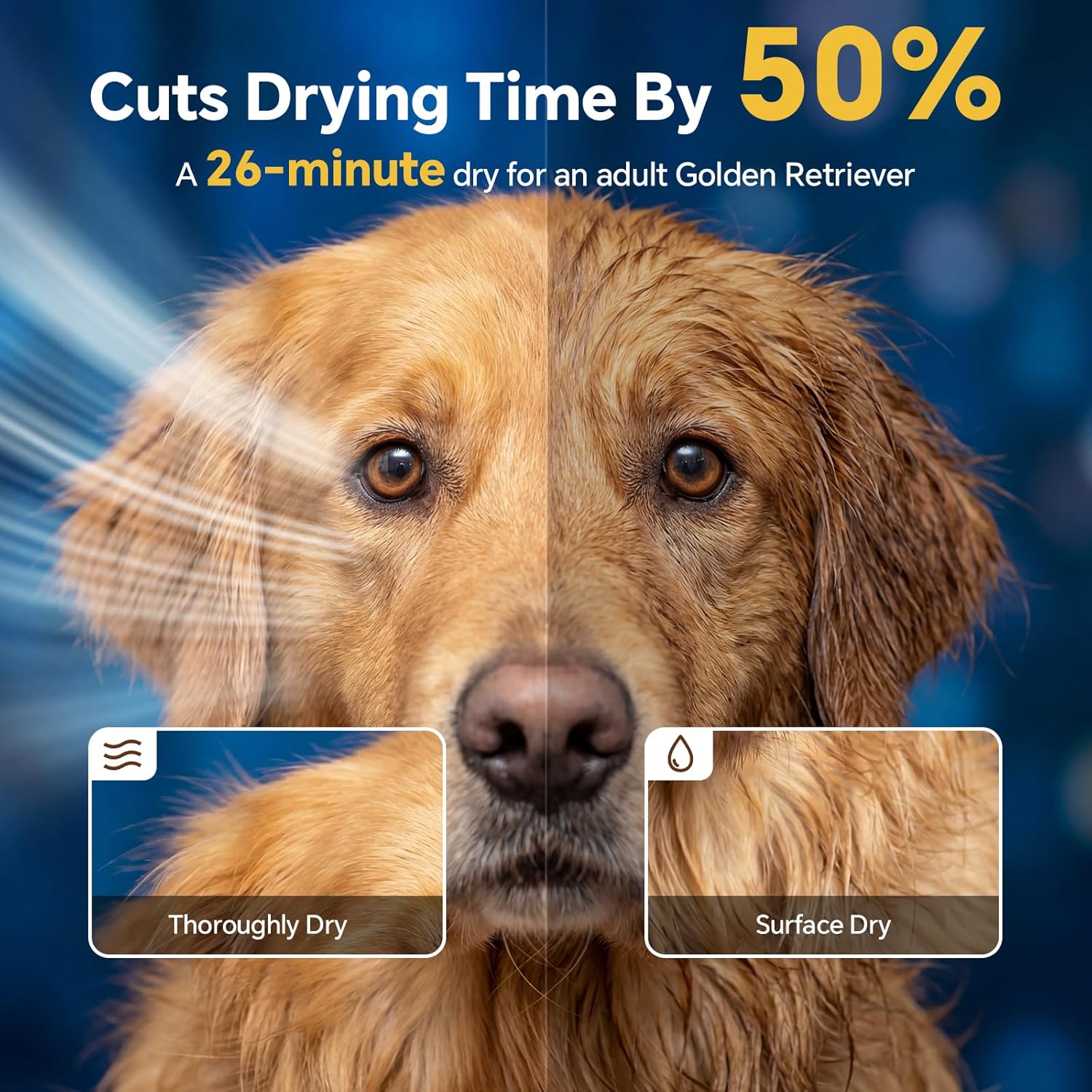 Detalle de Dog Dryer 5.2HP 2800W High Velocity