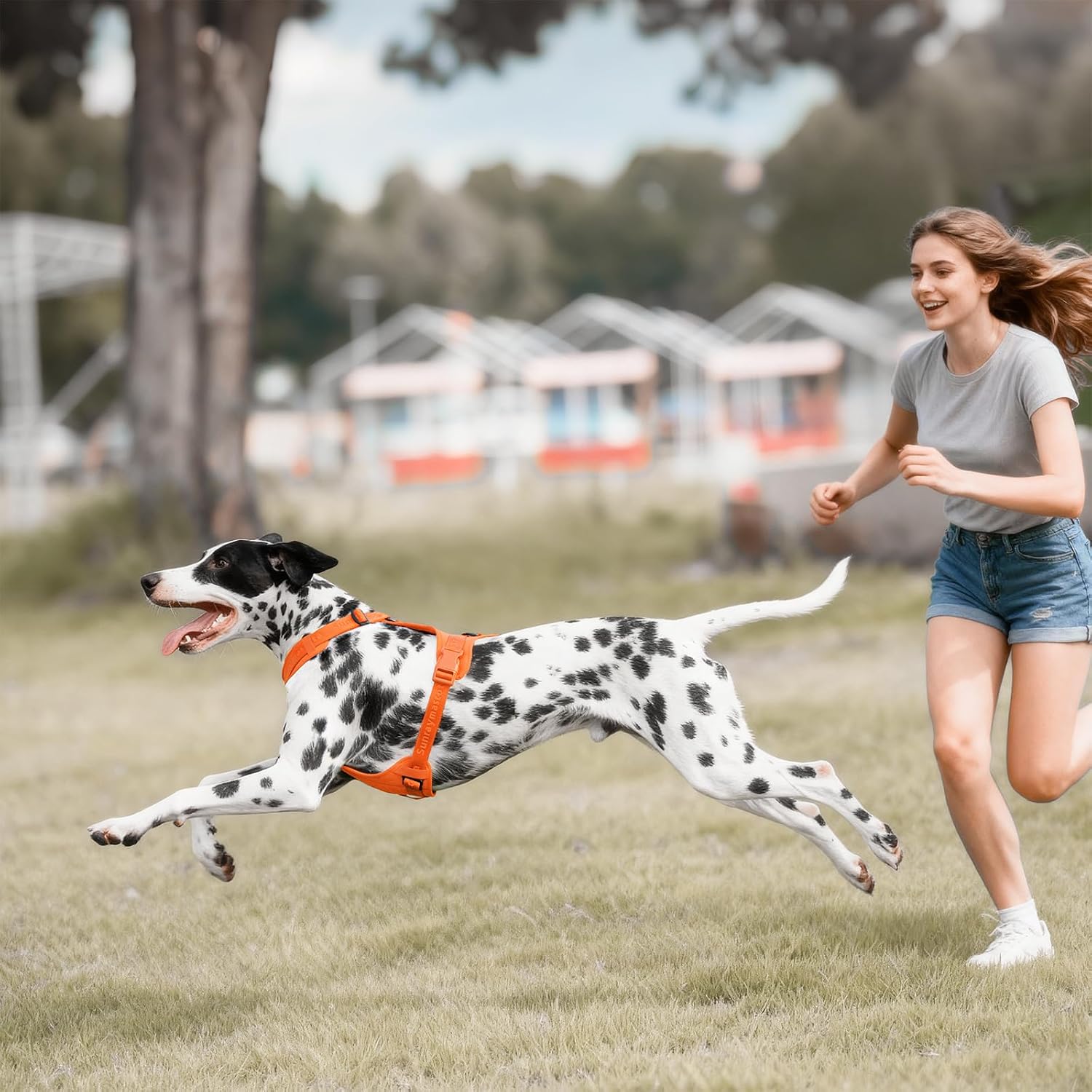 Thumbnail 6 de Sunraymascota Pettorina per cani con imbottitura in lycra – traspirante, regolabile e sicura