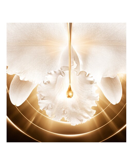 Thumbnail 6 de Guerlain Orchidée Impériale crema 50 ml Luminosidad +24%
